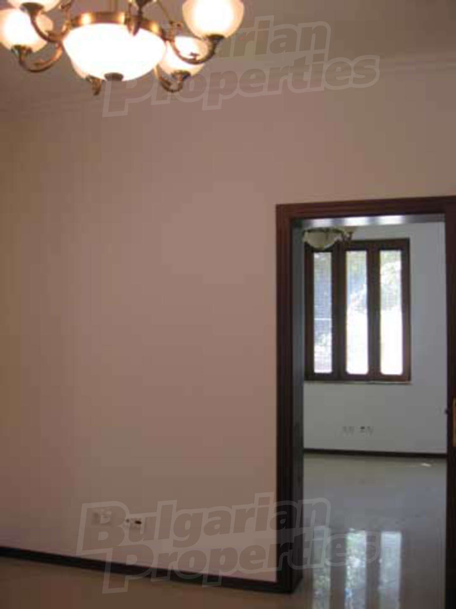 Gallery Picture 23