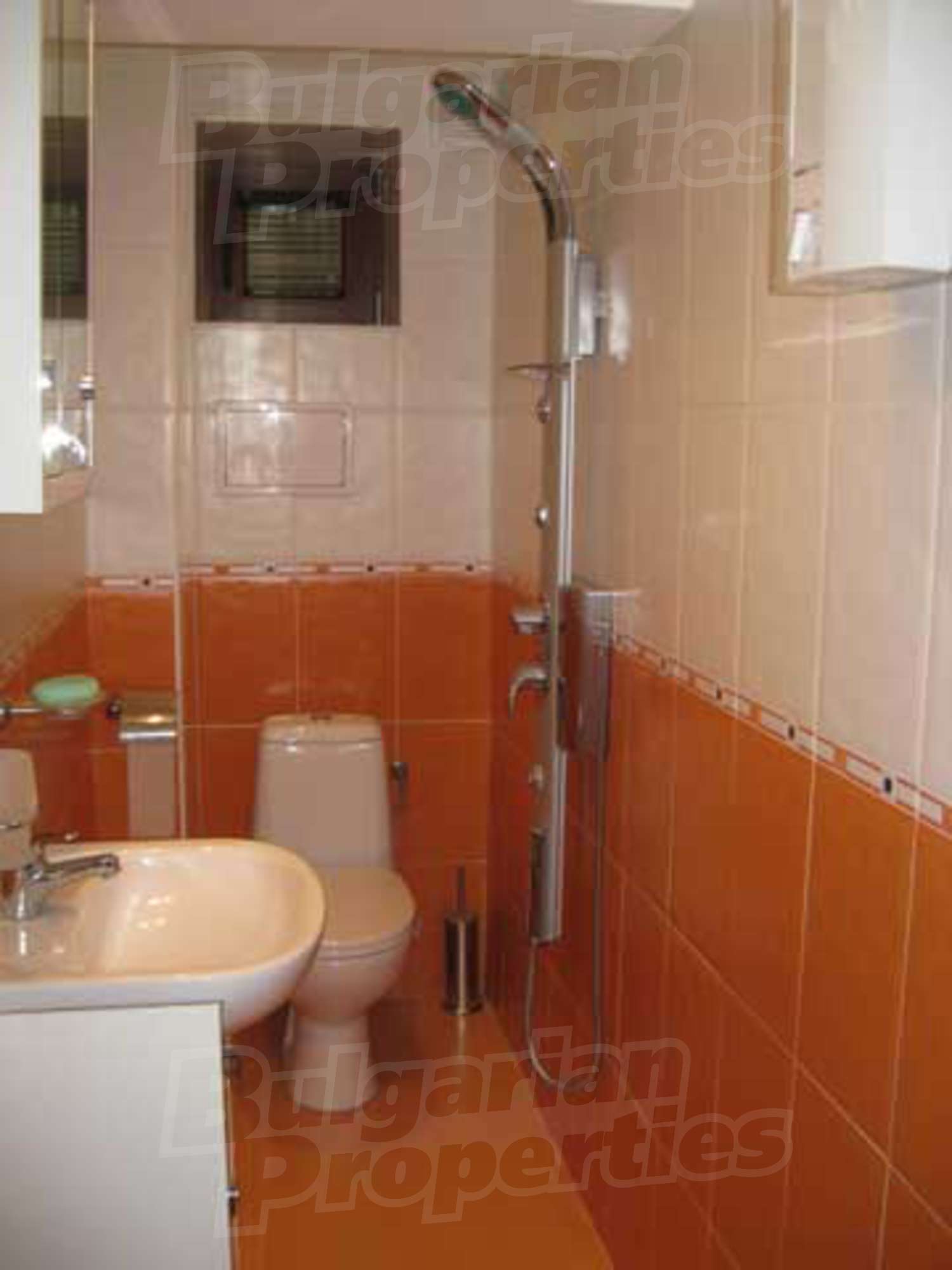 Gallery Picture 26