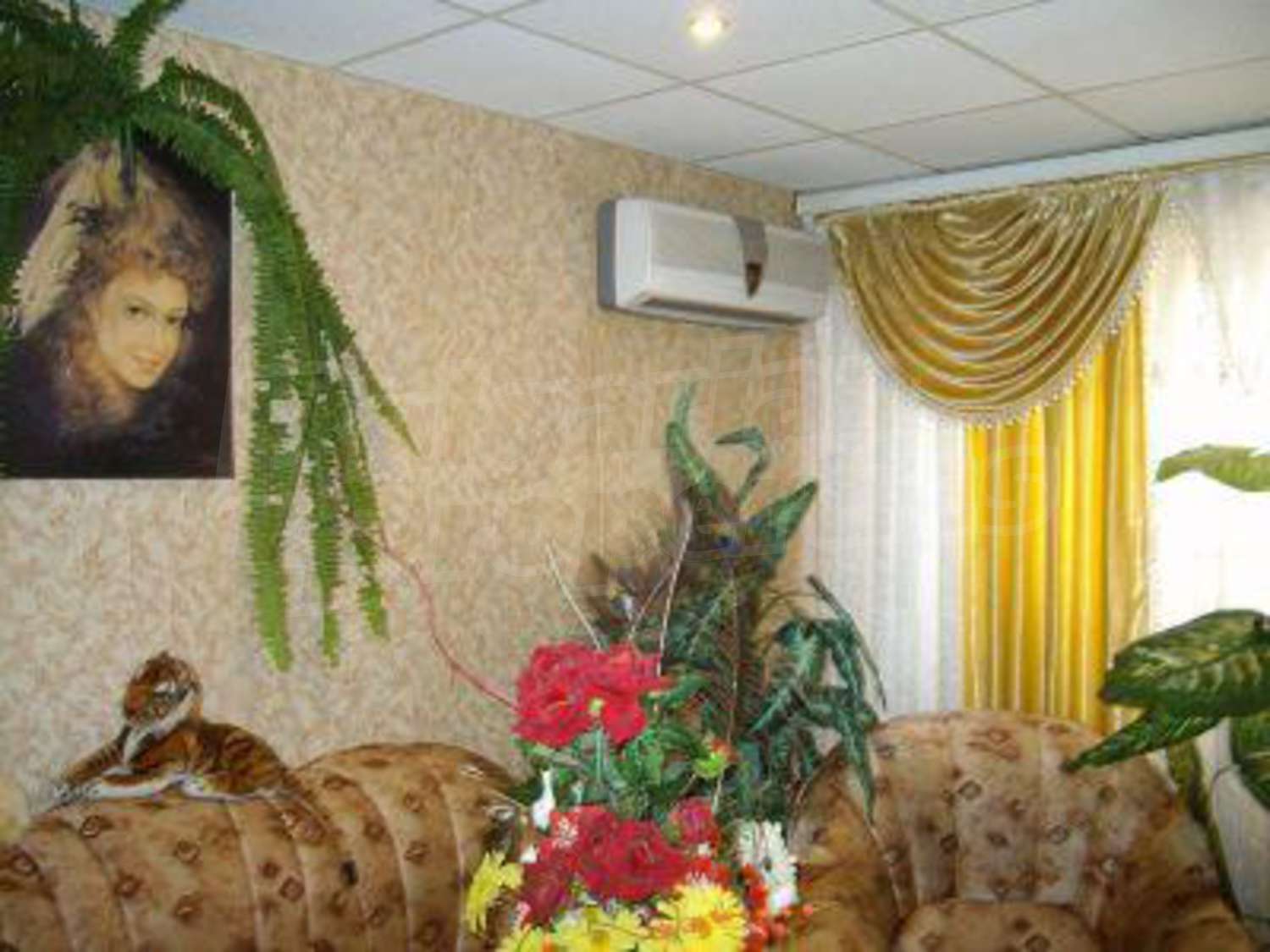 Gallery Picture 3