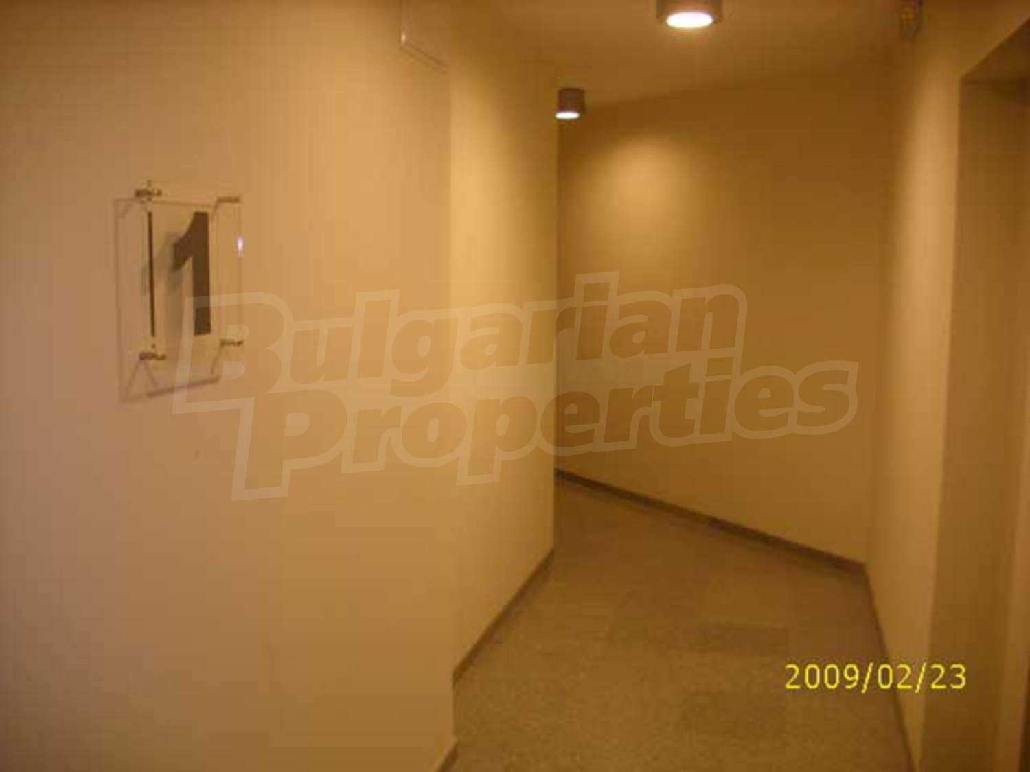 Gallery Picture 11