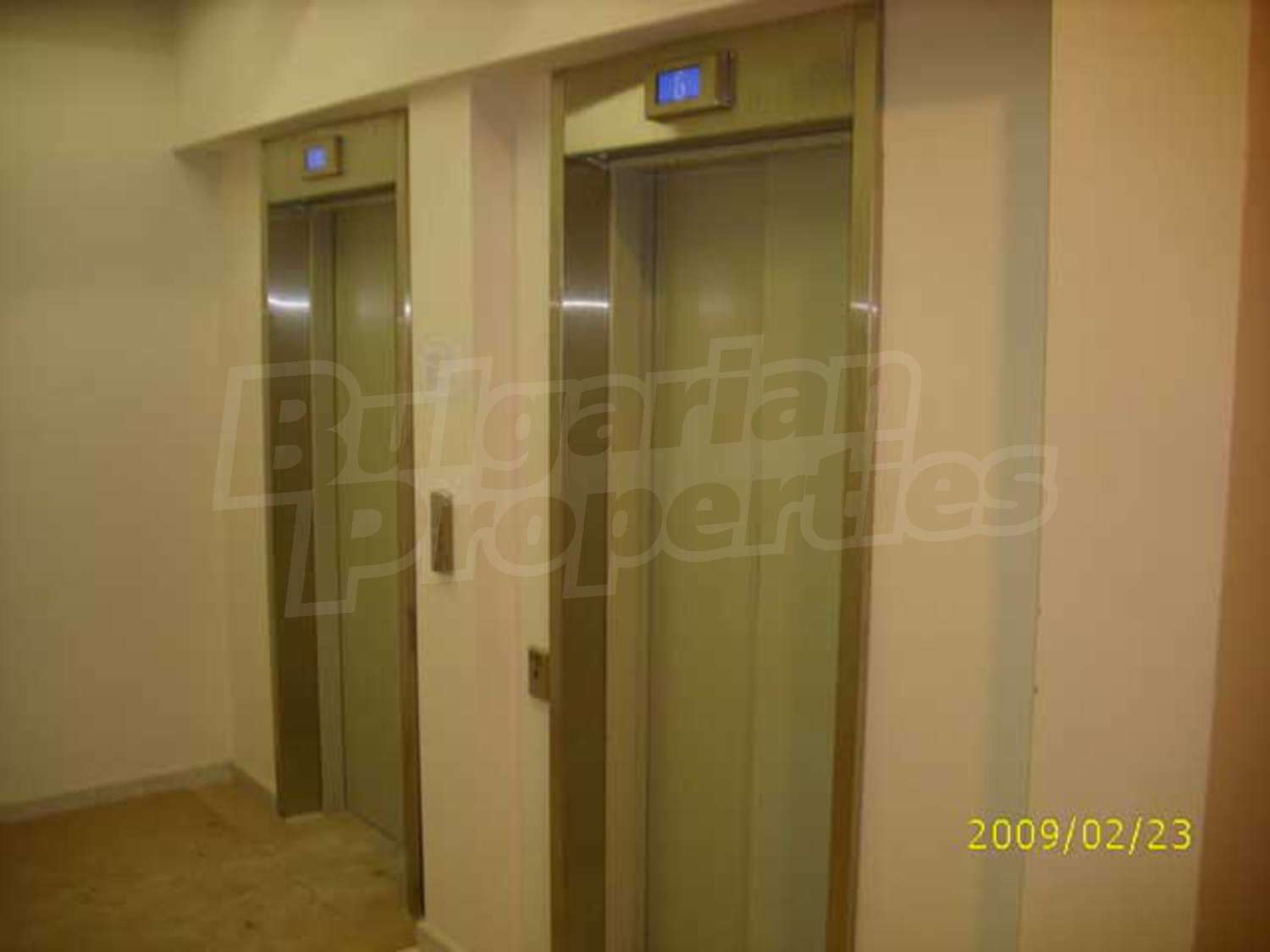 Gallery Picture 12