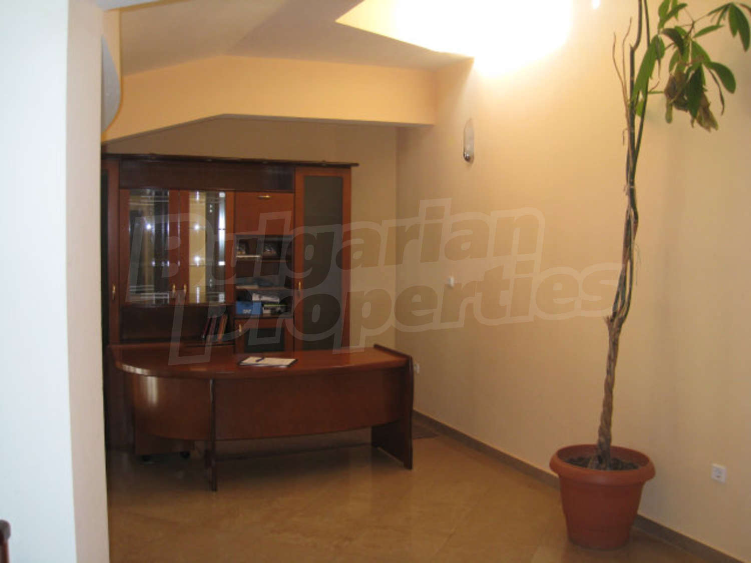 Gallery Picture 15