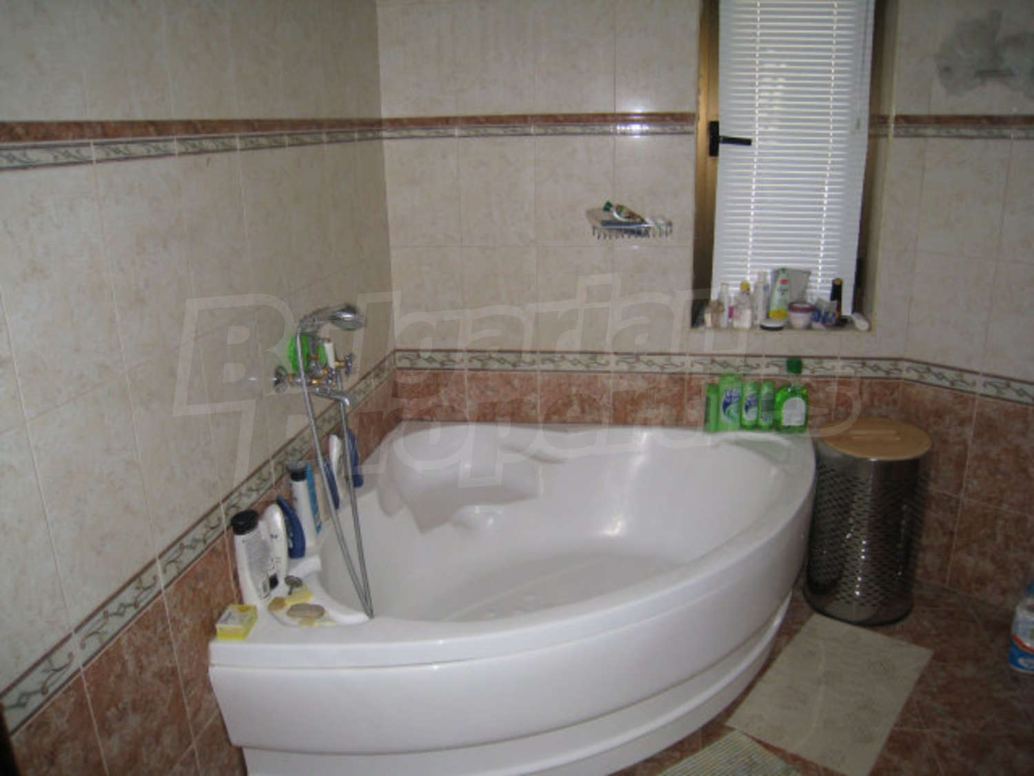 Gallery Picture 26