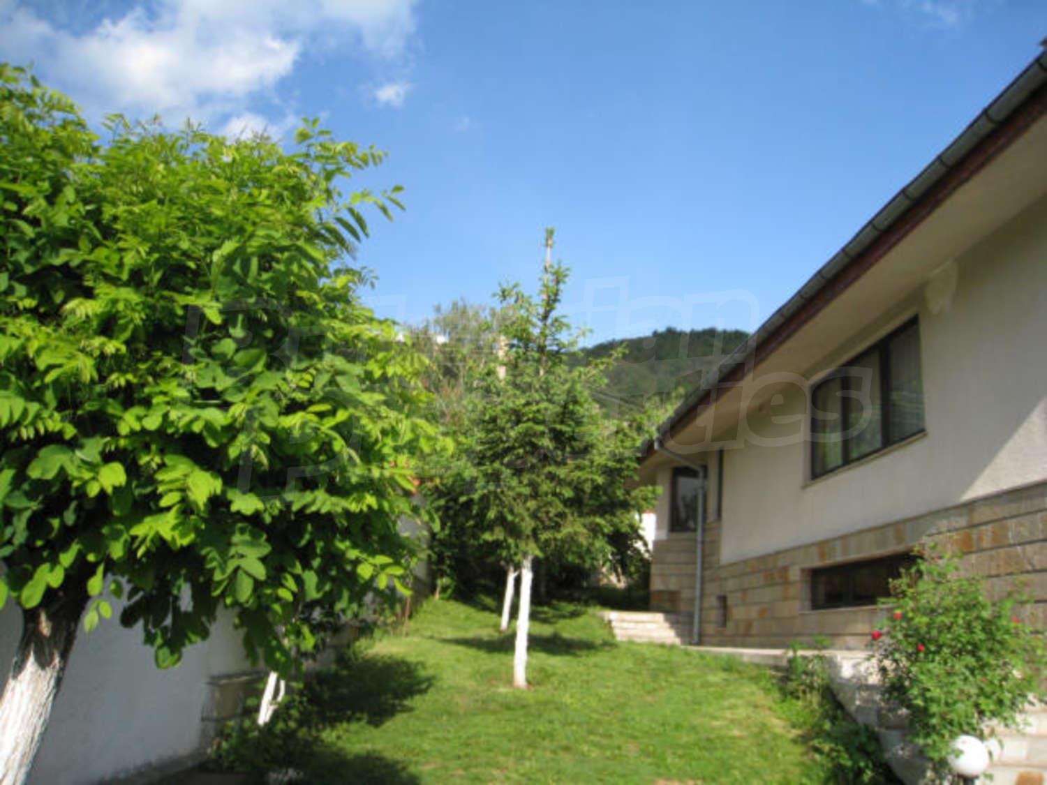 Gallery Picture 41