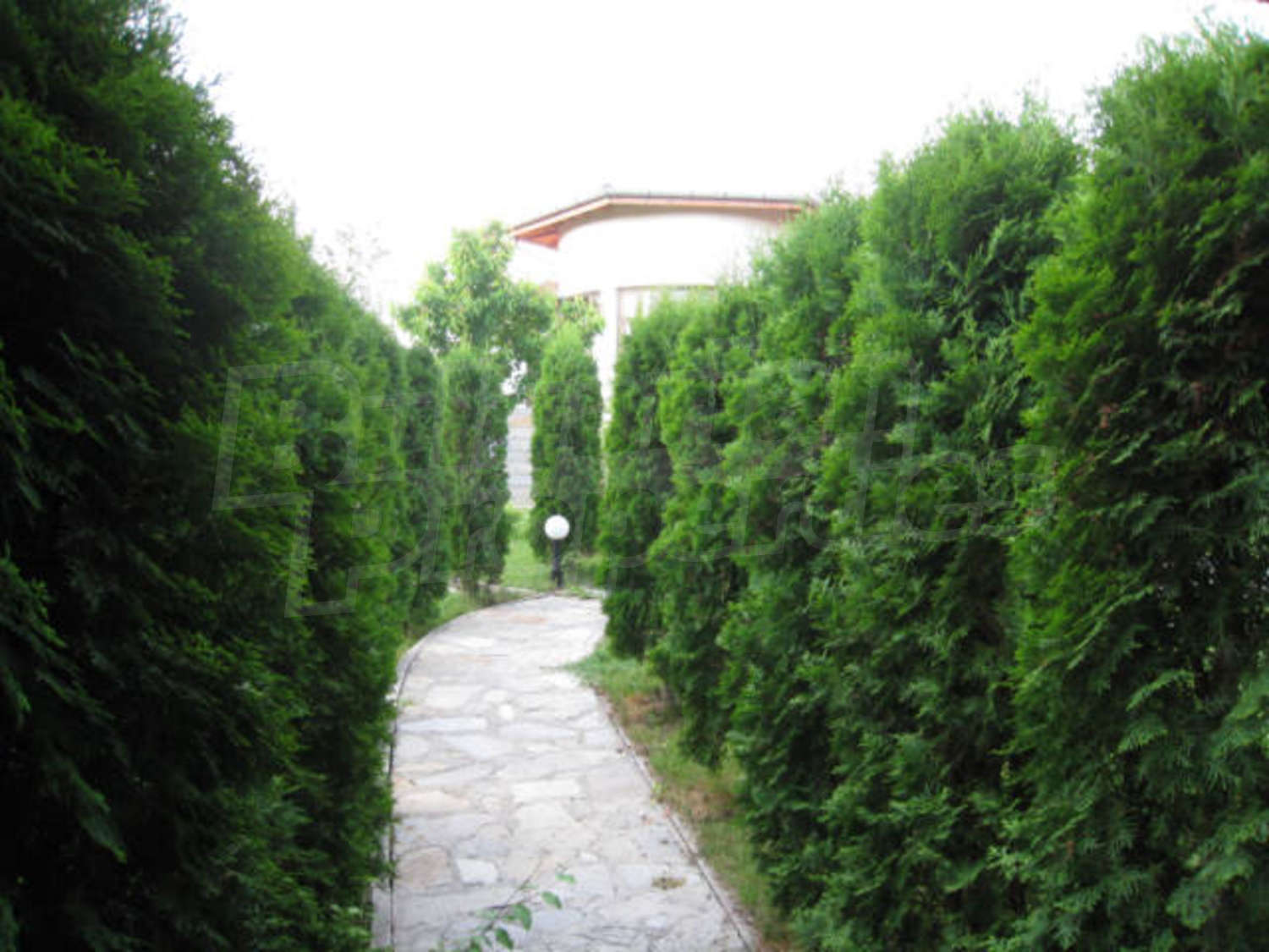 Gallery Picture 43