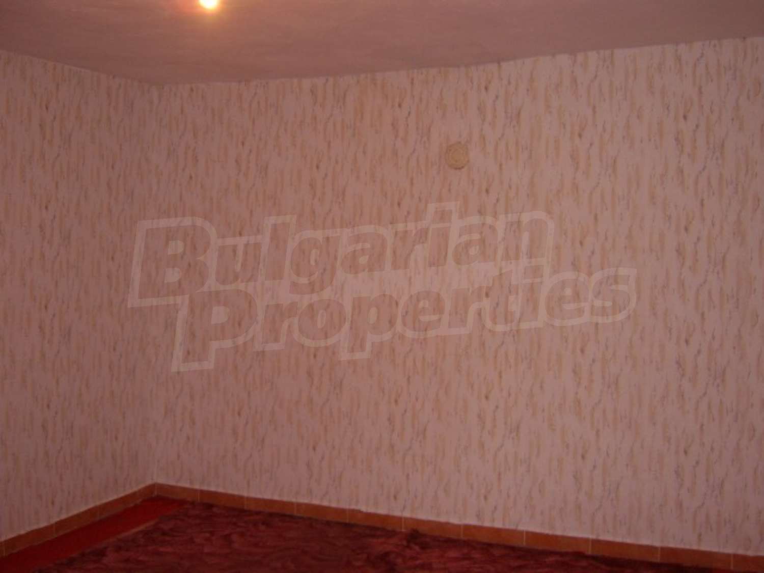 Gallery Picture 11