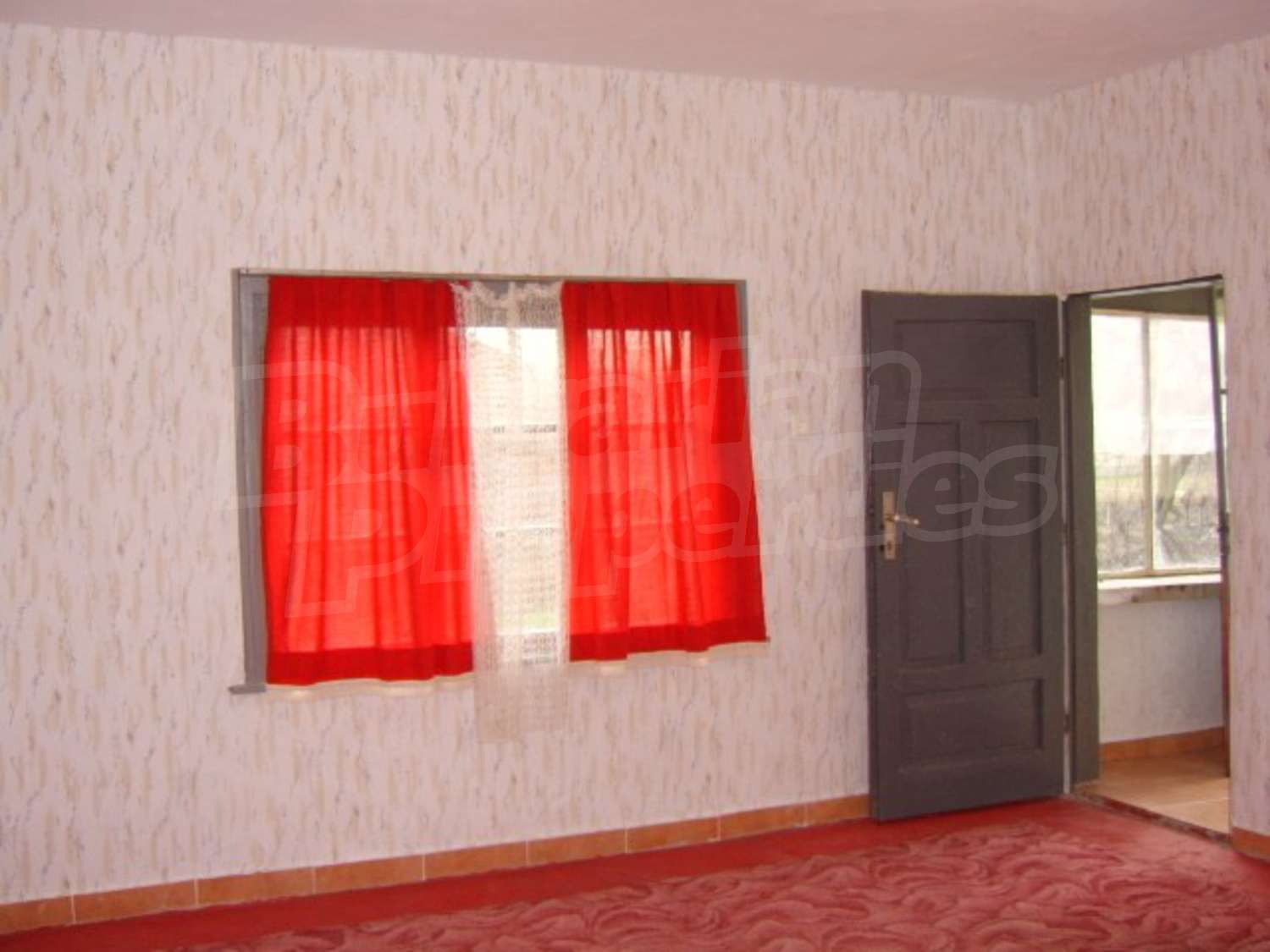 Gallery Picture 12
