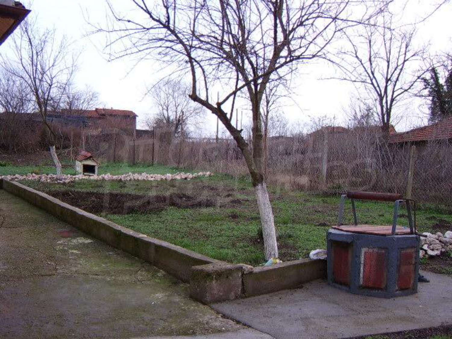 Gallery Picture 17