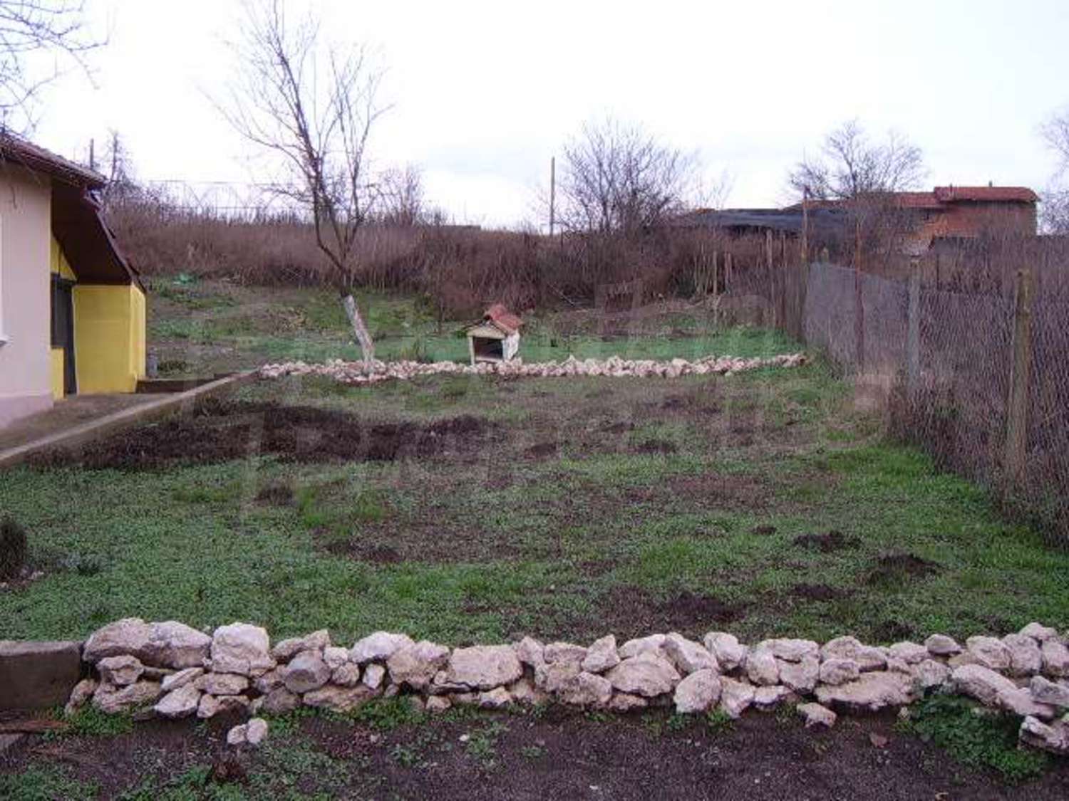 Gallery Picture 19