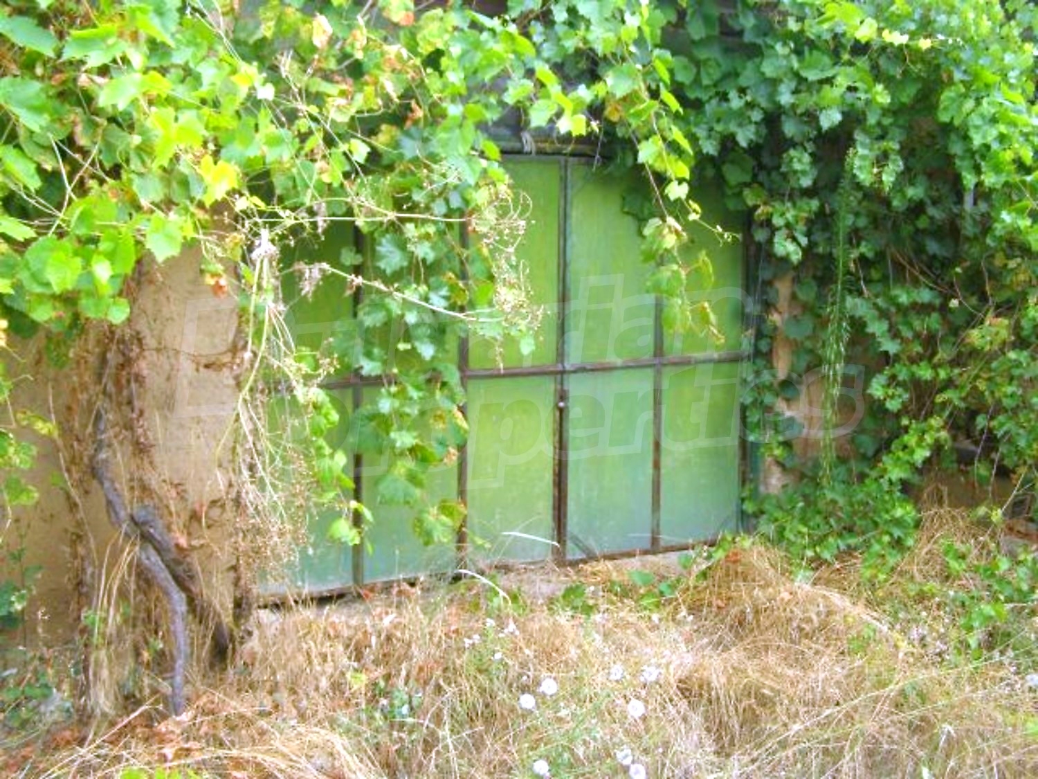 Gallery Picture 18