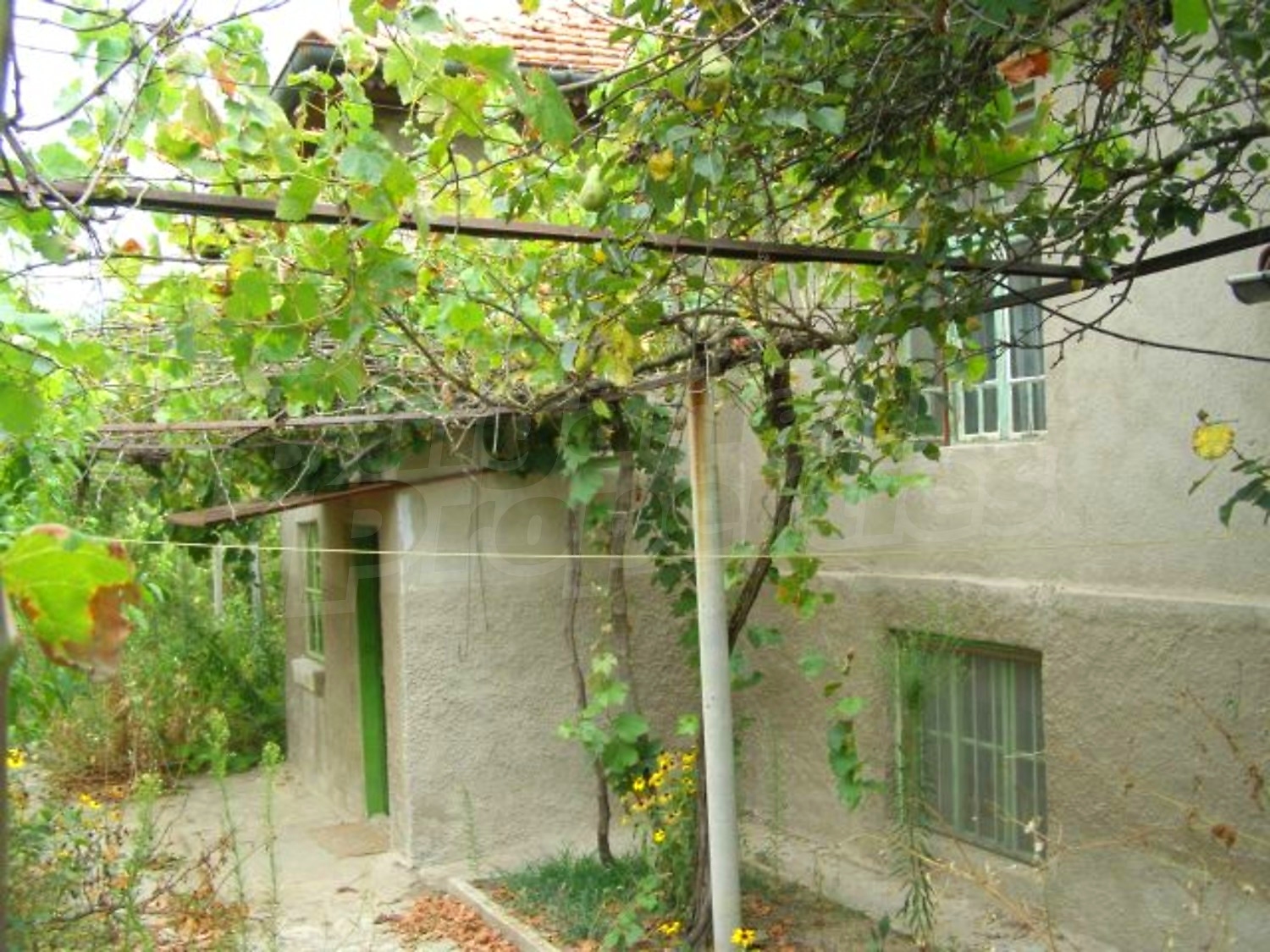 Gallery Picture 2