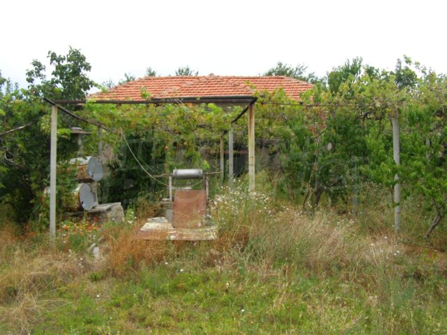 Gallery Picture 28