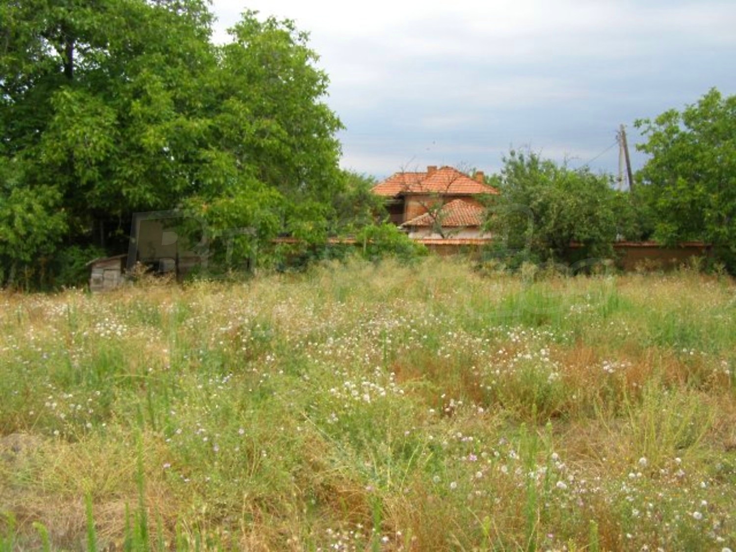 Gallery Picture 29