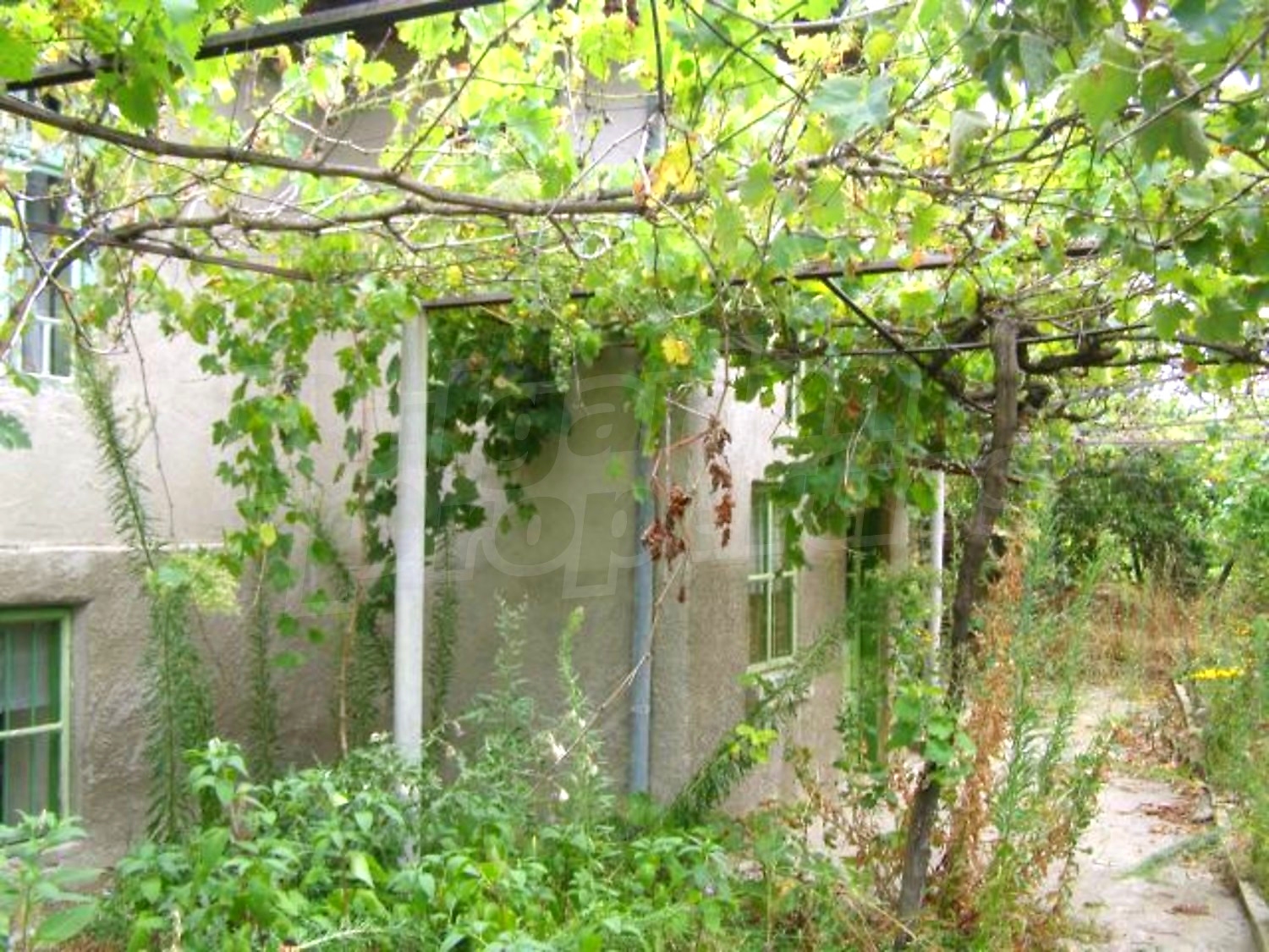 Gallery Picture 3