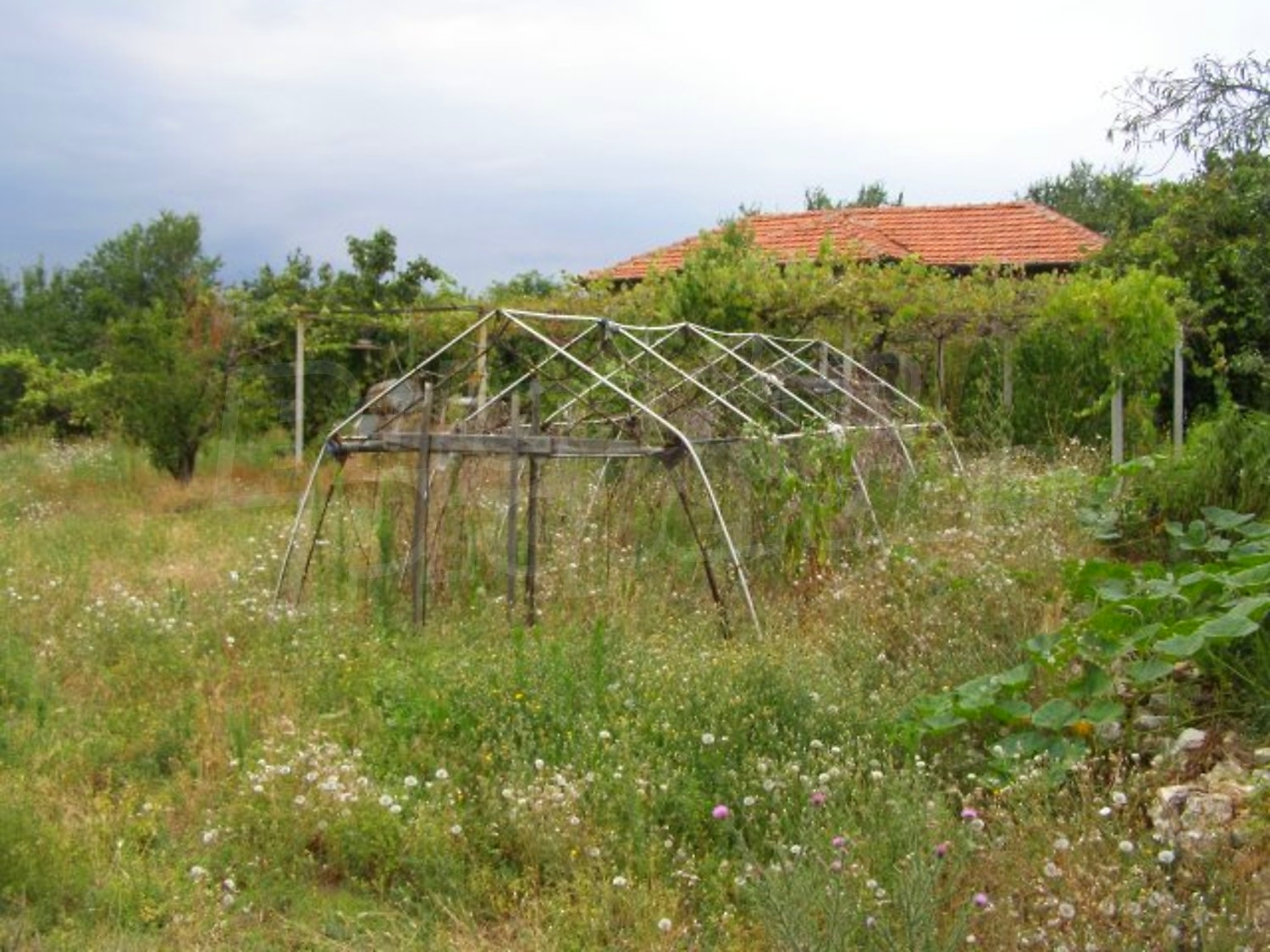 Gallery Picture 30