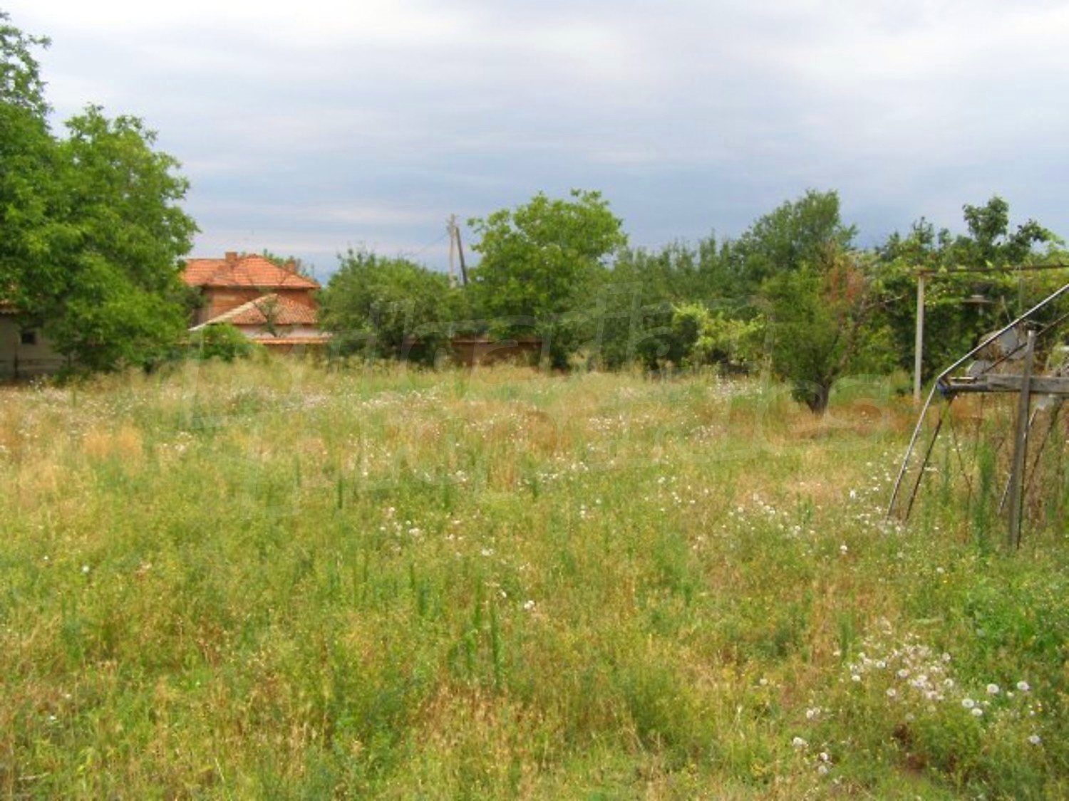 Gallery Picture 31
