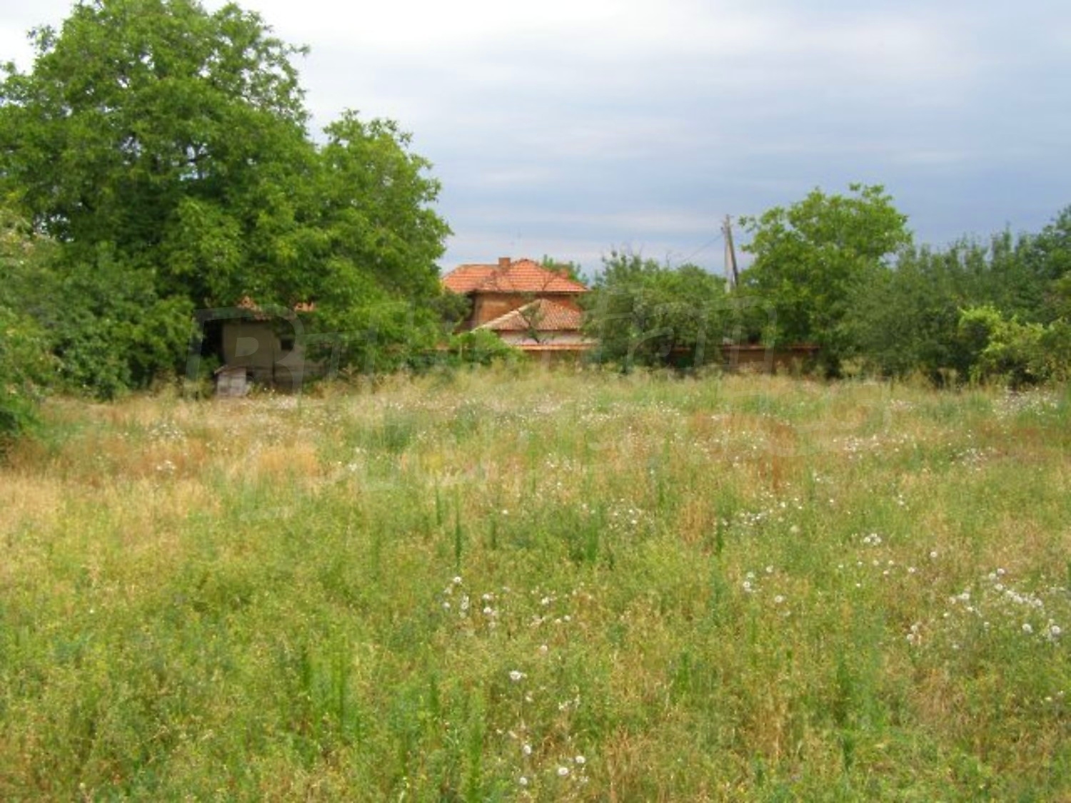 Gallery Picture 32