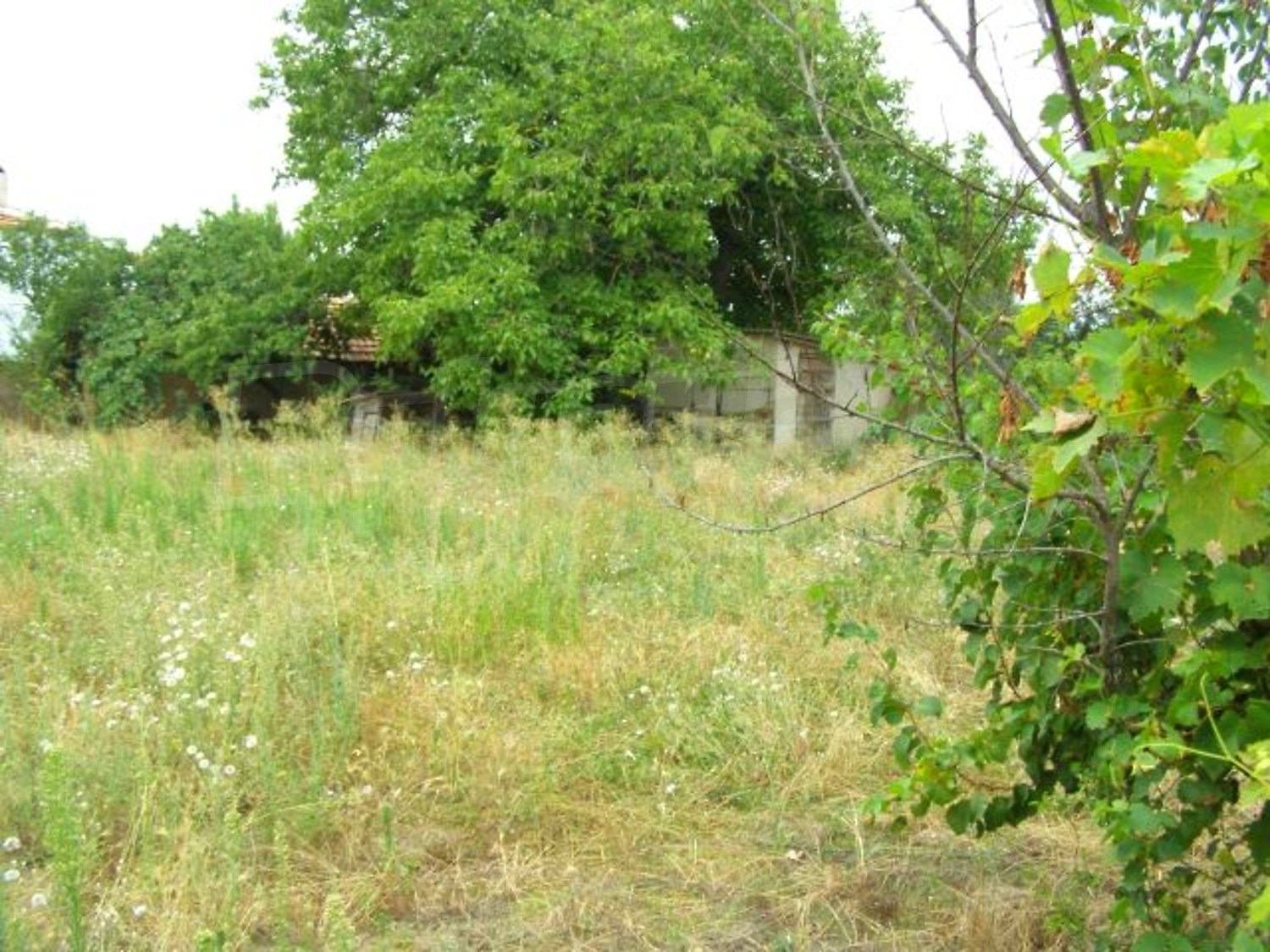 Gallery Picture 33