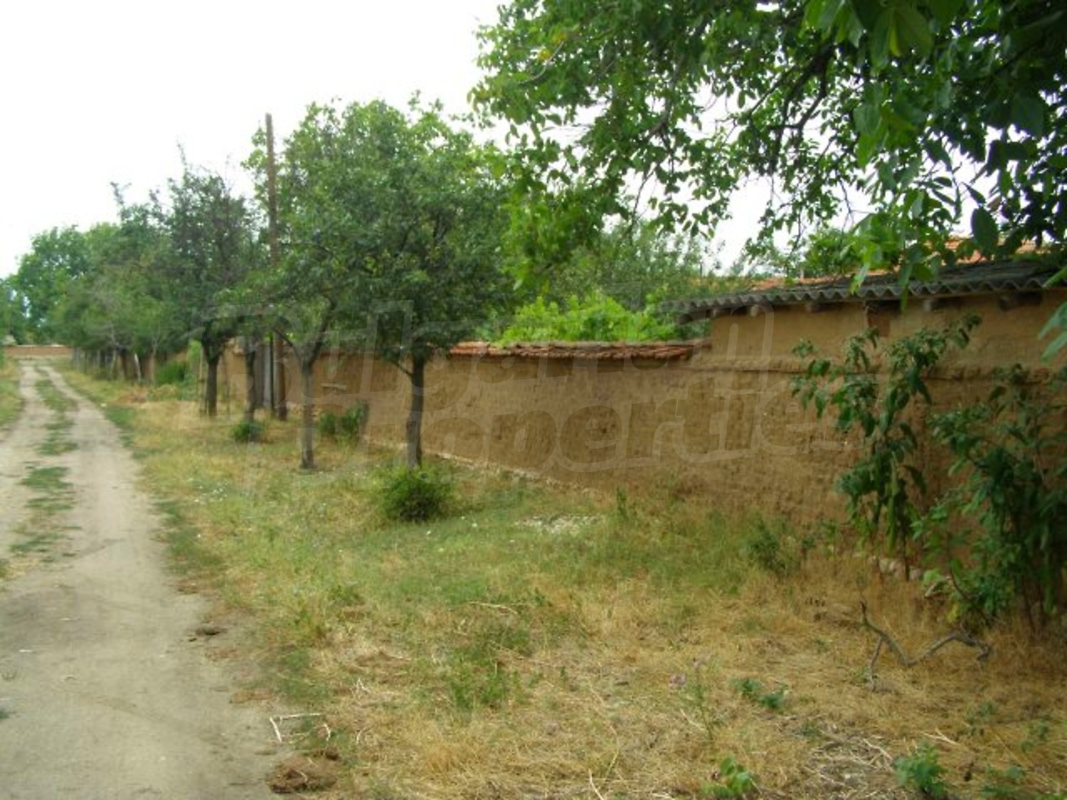 Gallery Picture 34