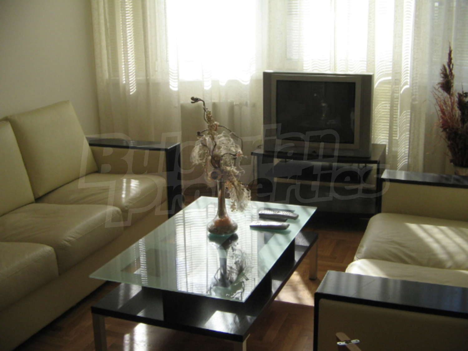 Gallery Picture 3