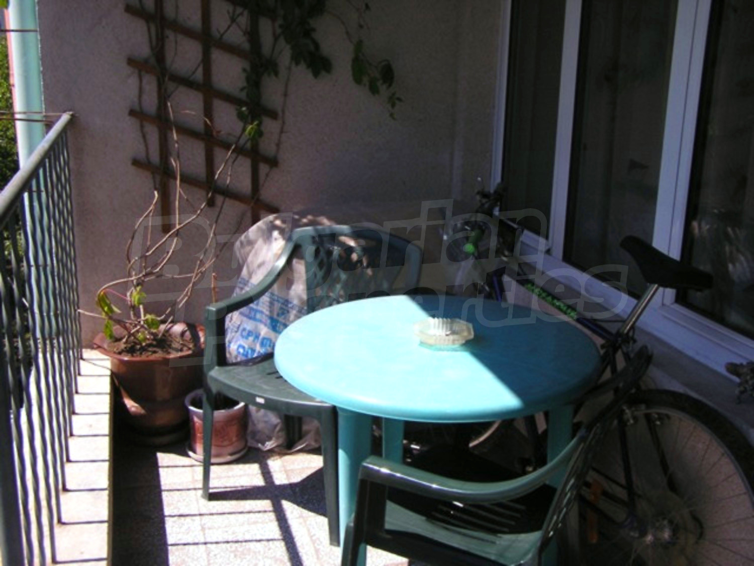 Gallery Picture 11