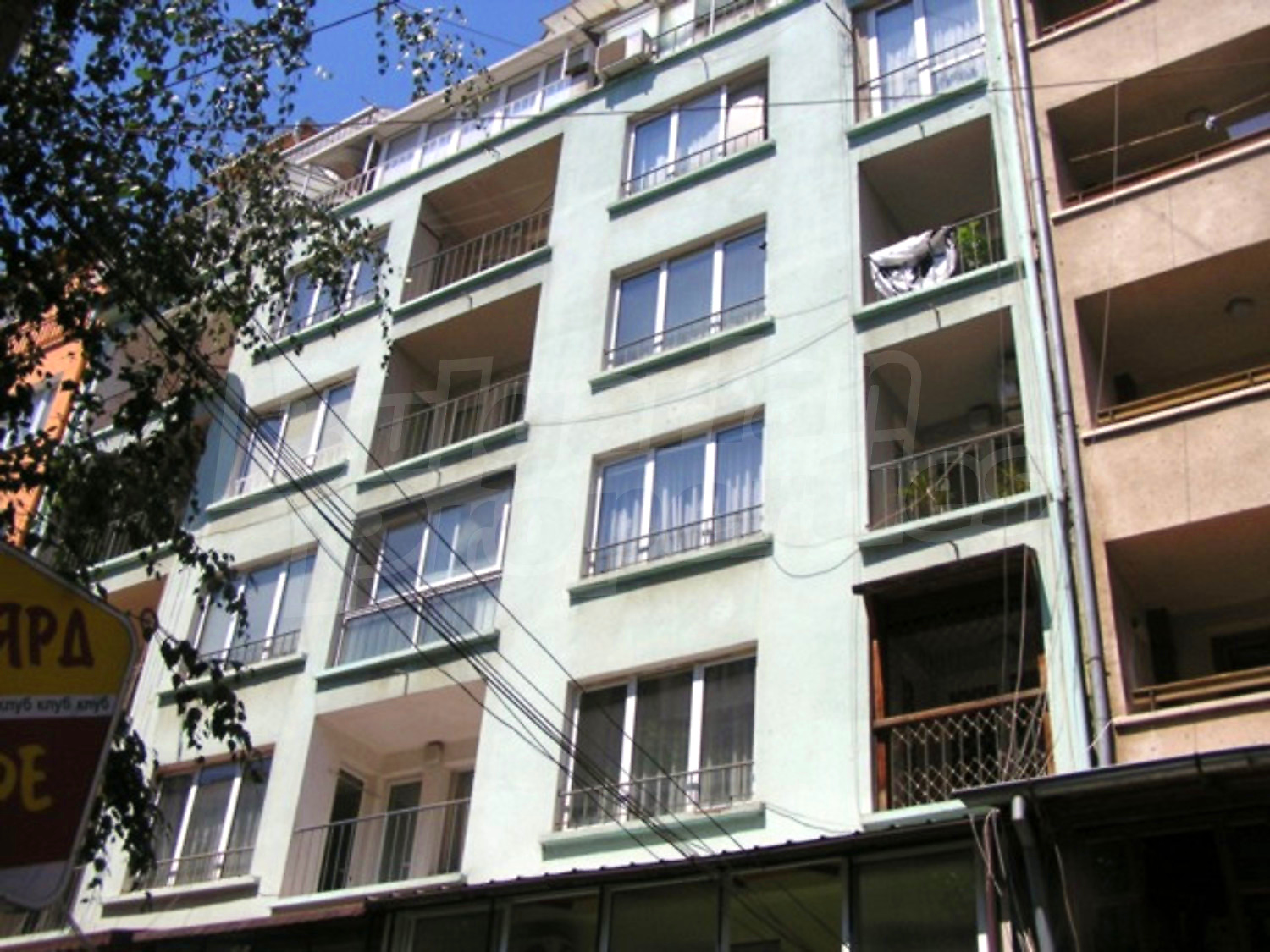 Gallery Picture 16