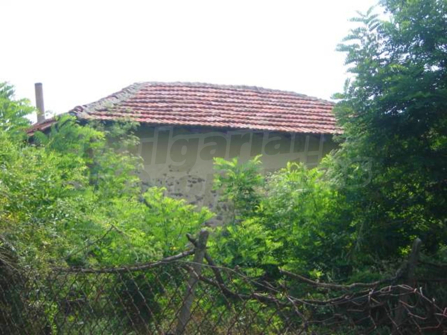 Gallery Picture 5