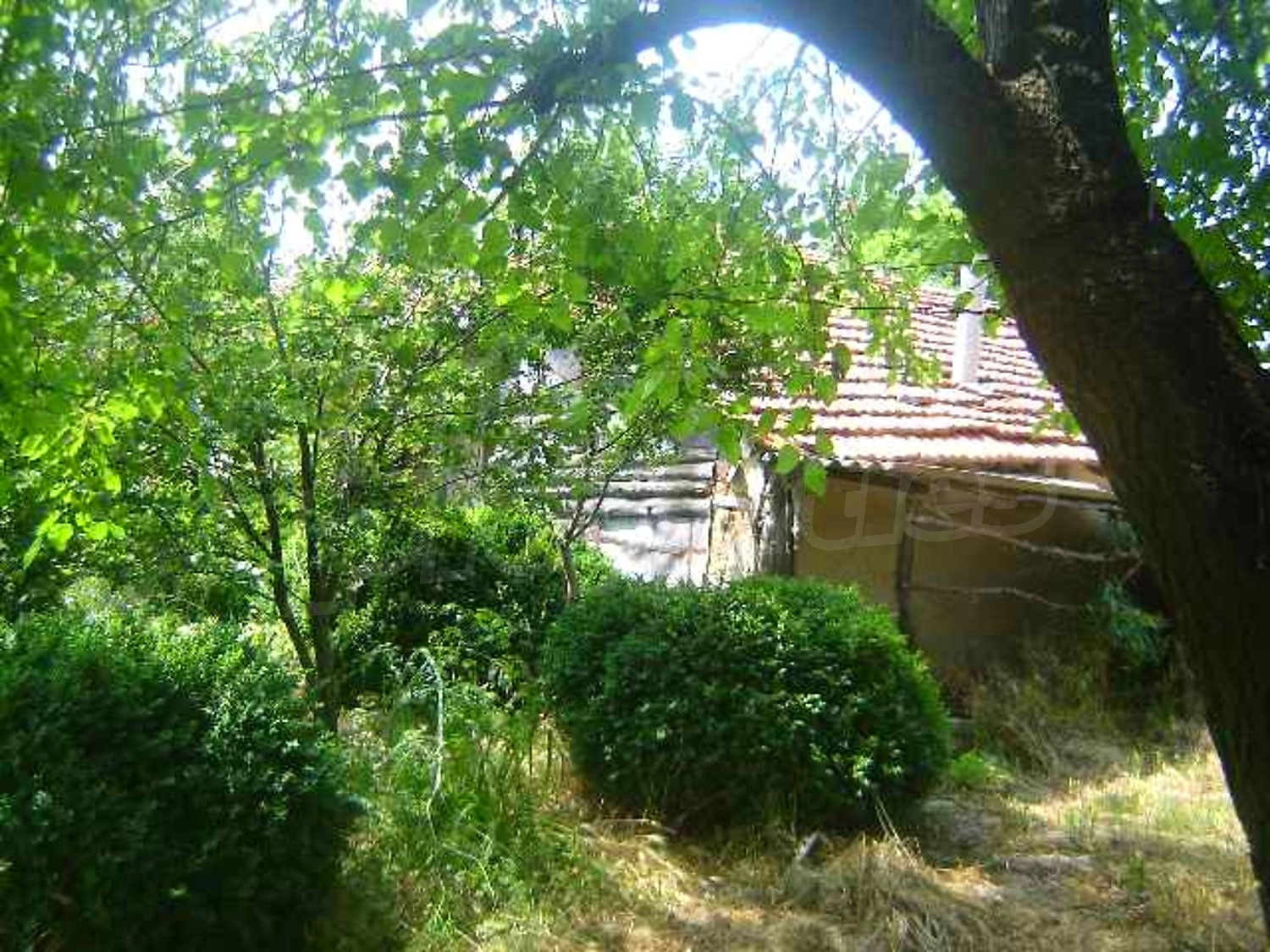 Gallery Picture 7