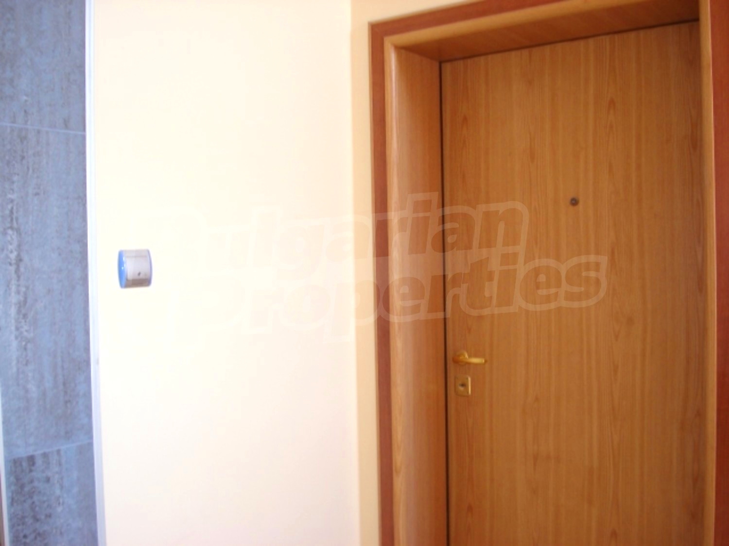 Gallery Picture 5