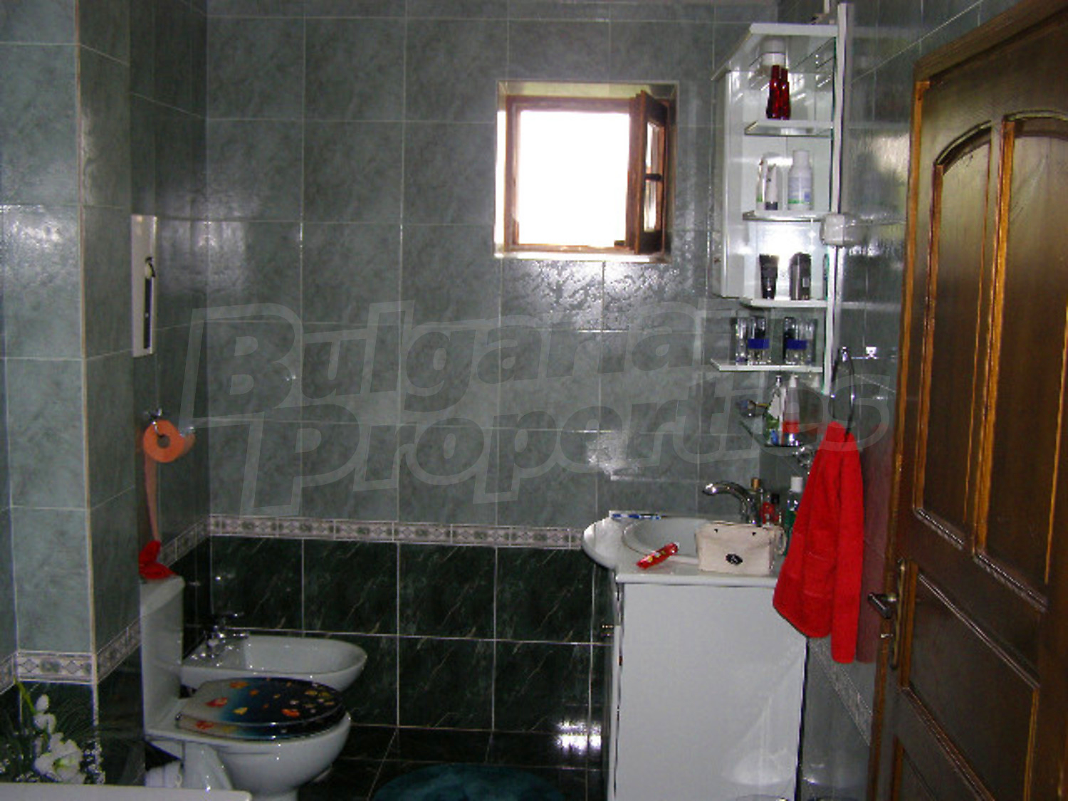 Gallery Picture 21