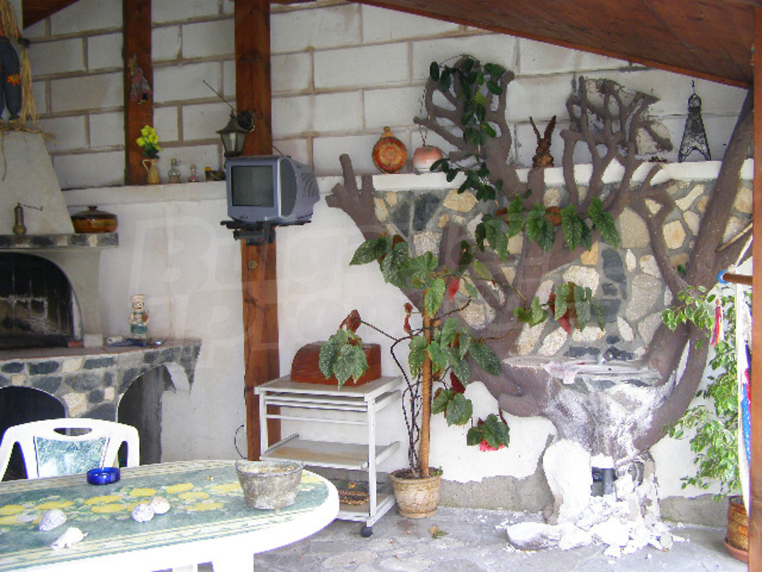 Gallery Picture 35