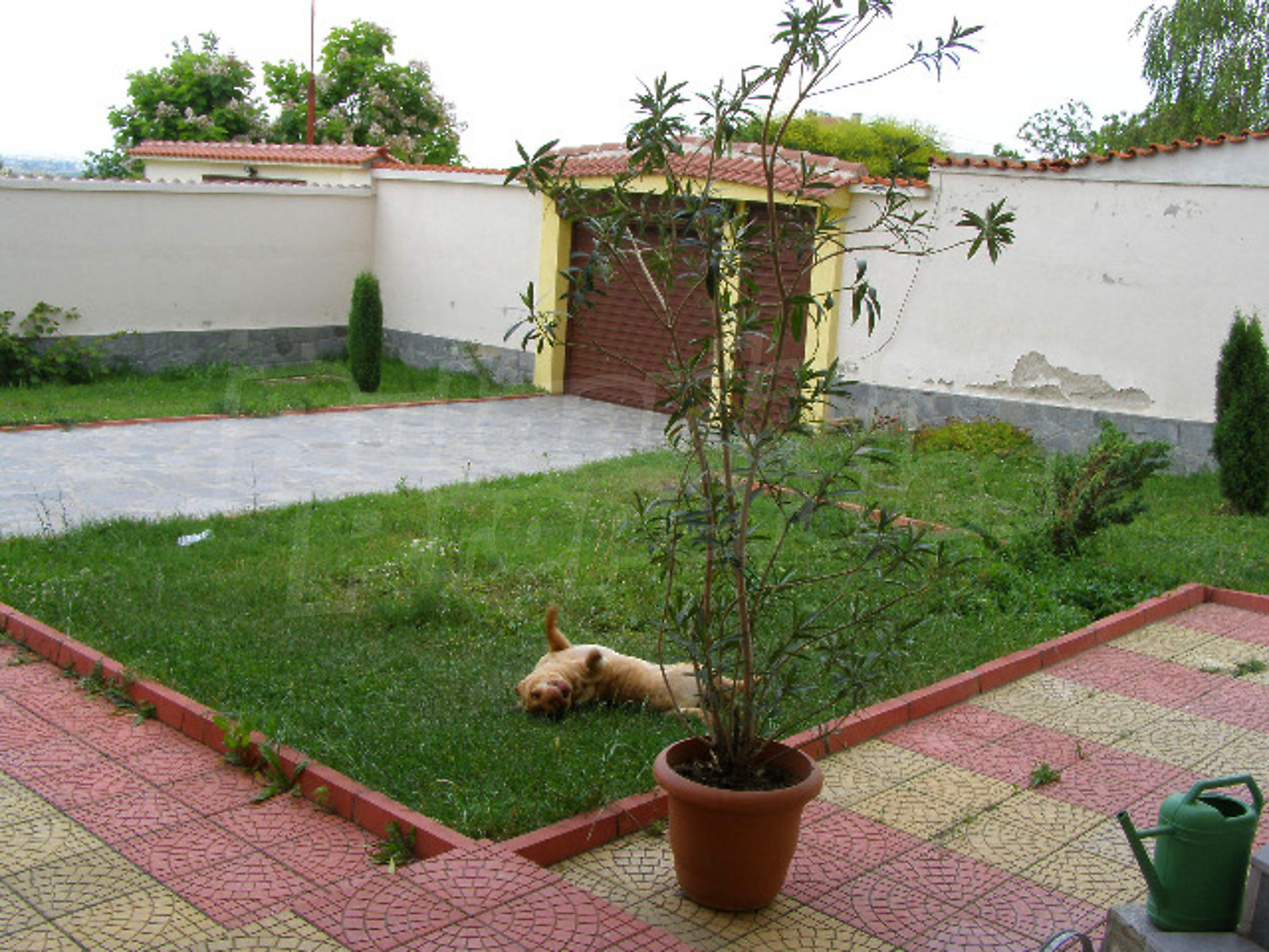 Gallery Picture 38