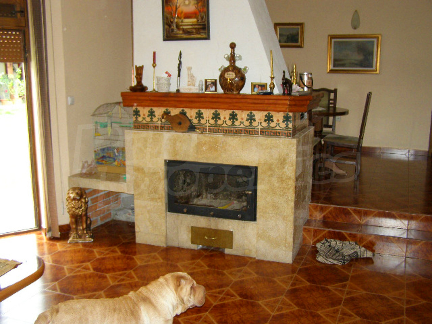 Gallery Picture 7