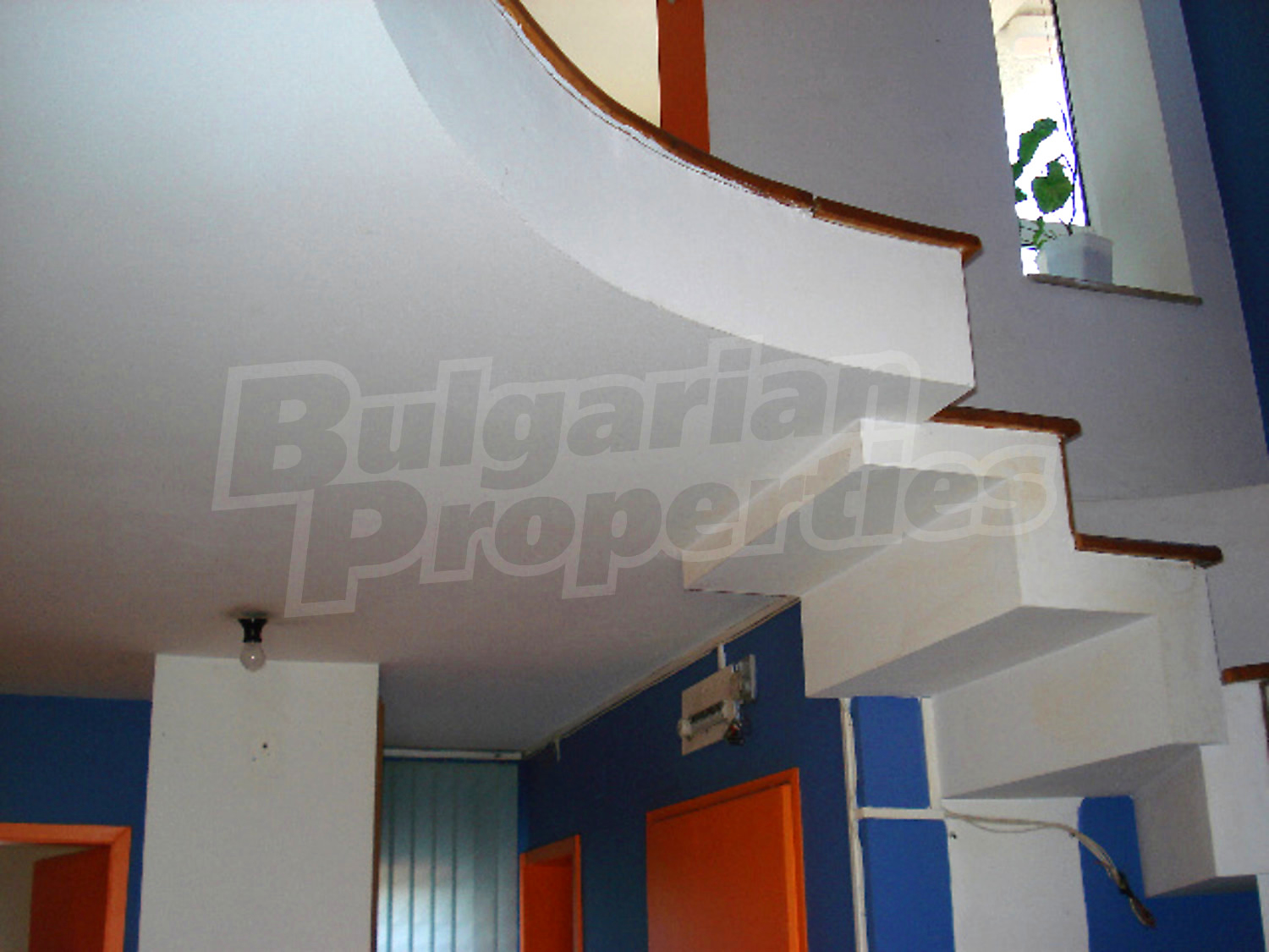 Gallery Picture 14