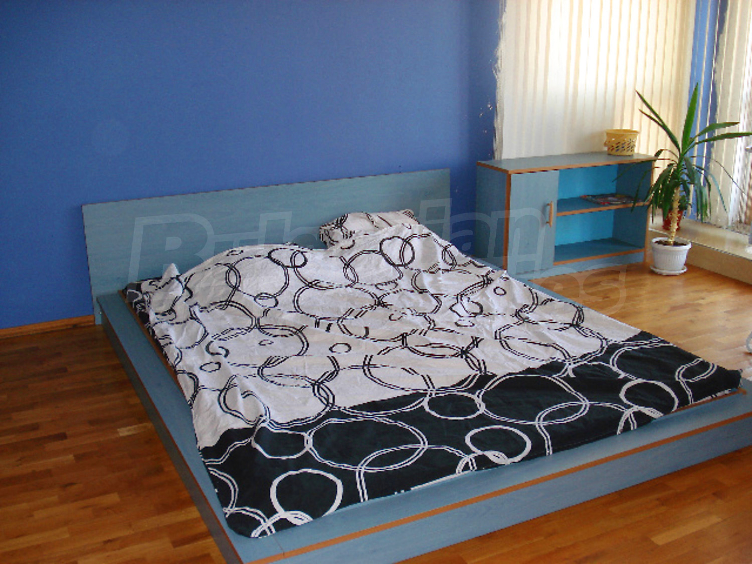 Gallery Picture 16