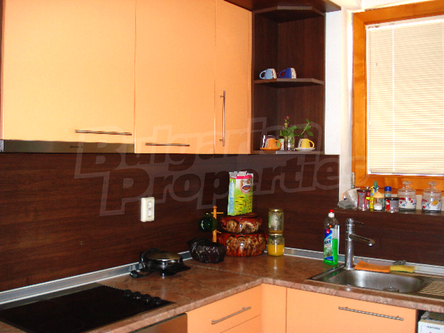 Gallery Picture 6