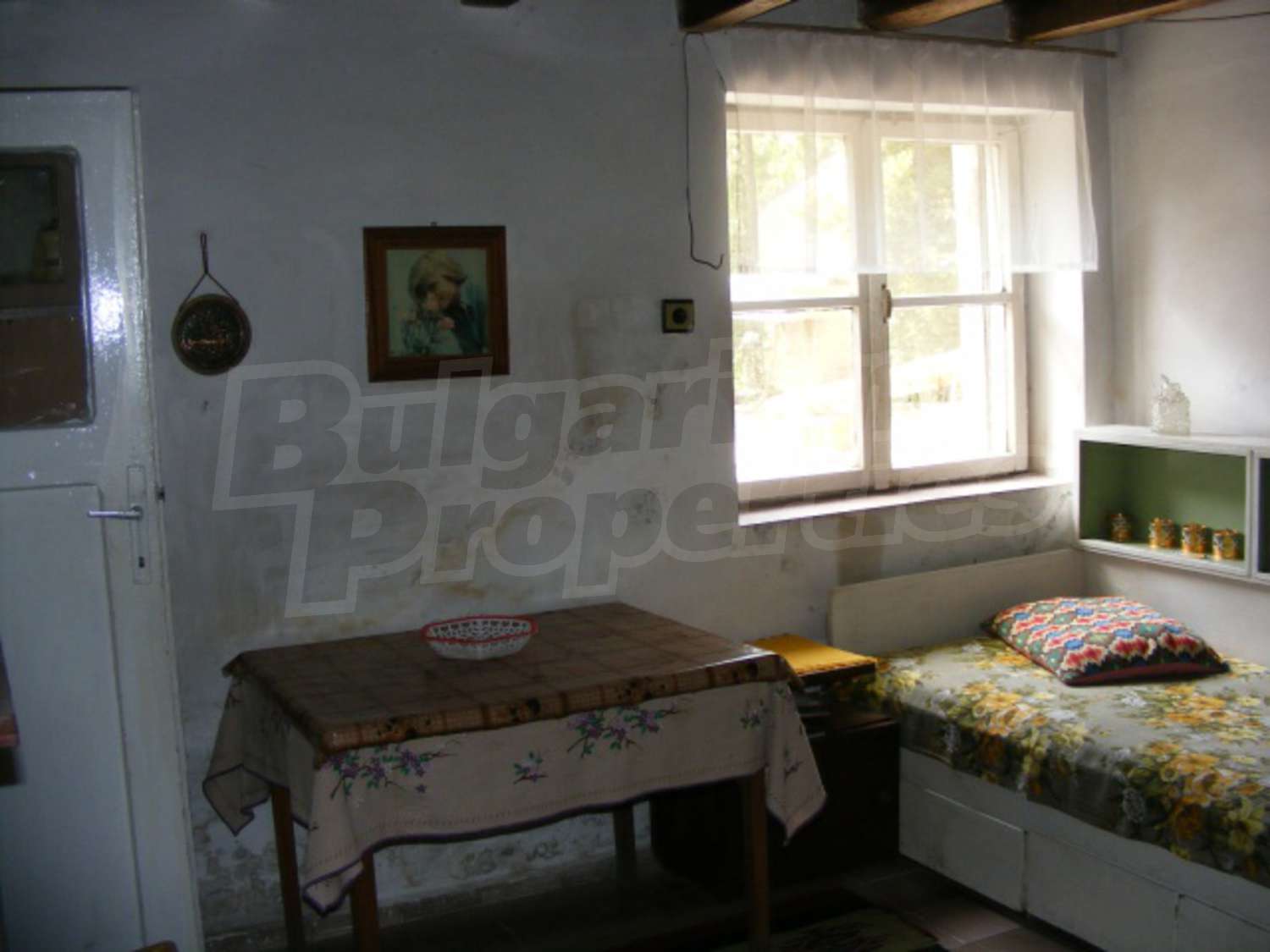 Gallery Picture 10