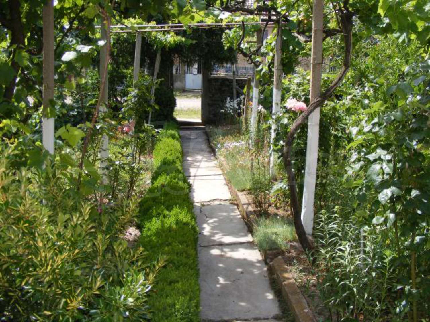 Gallery Picture 29