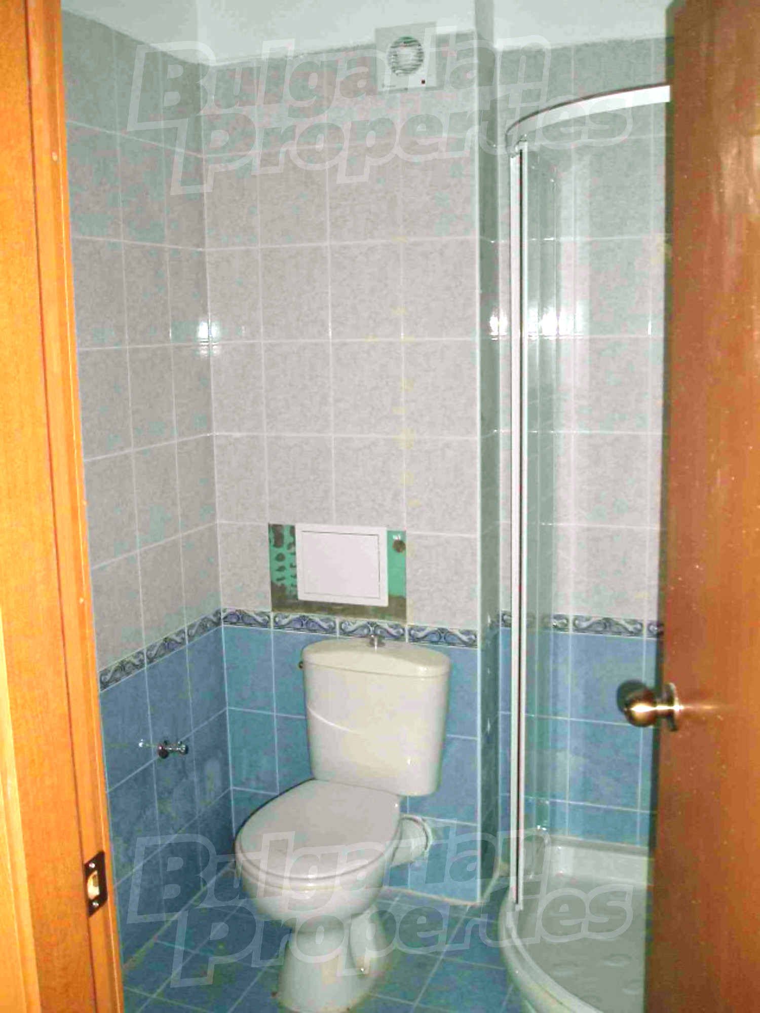 Gallery Picture 12