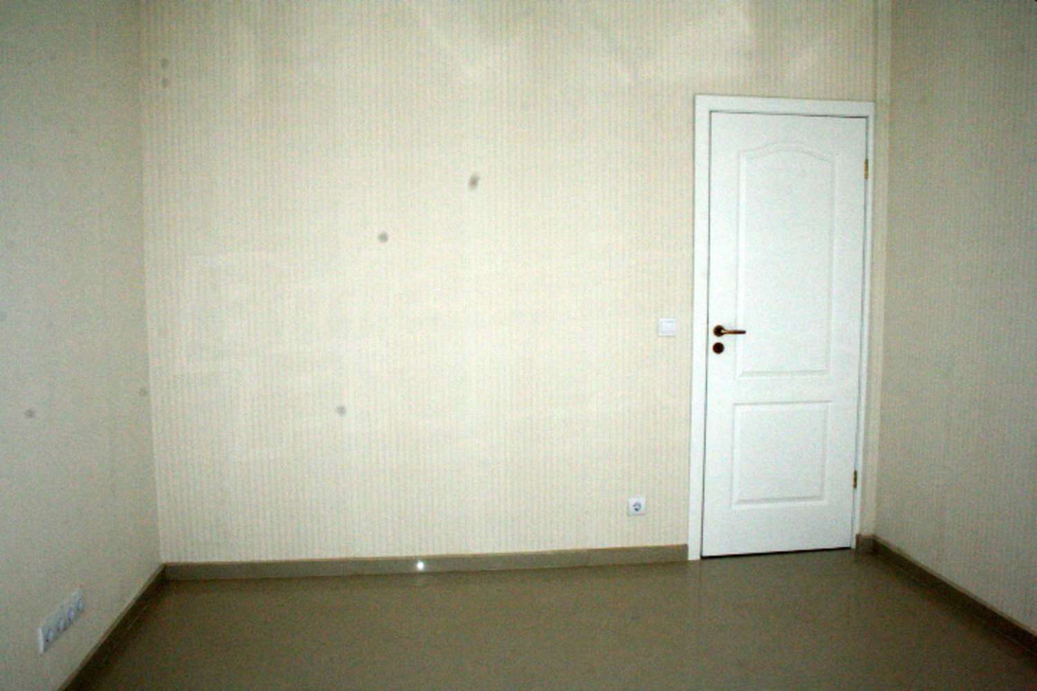 Gallery Picture 10