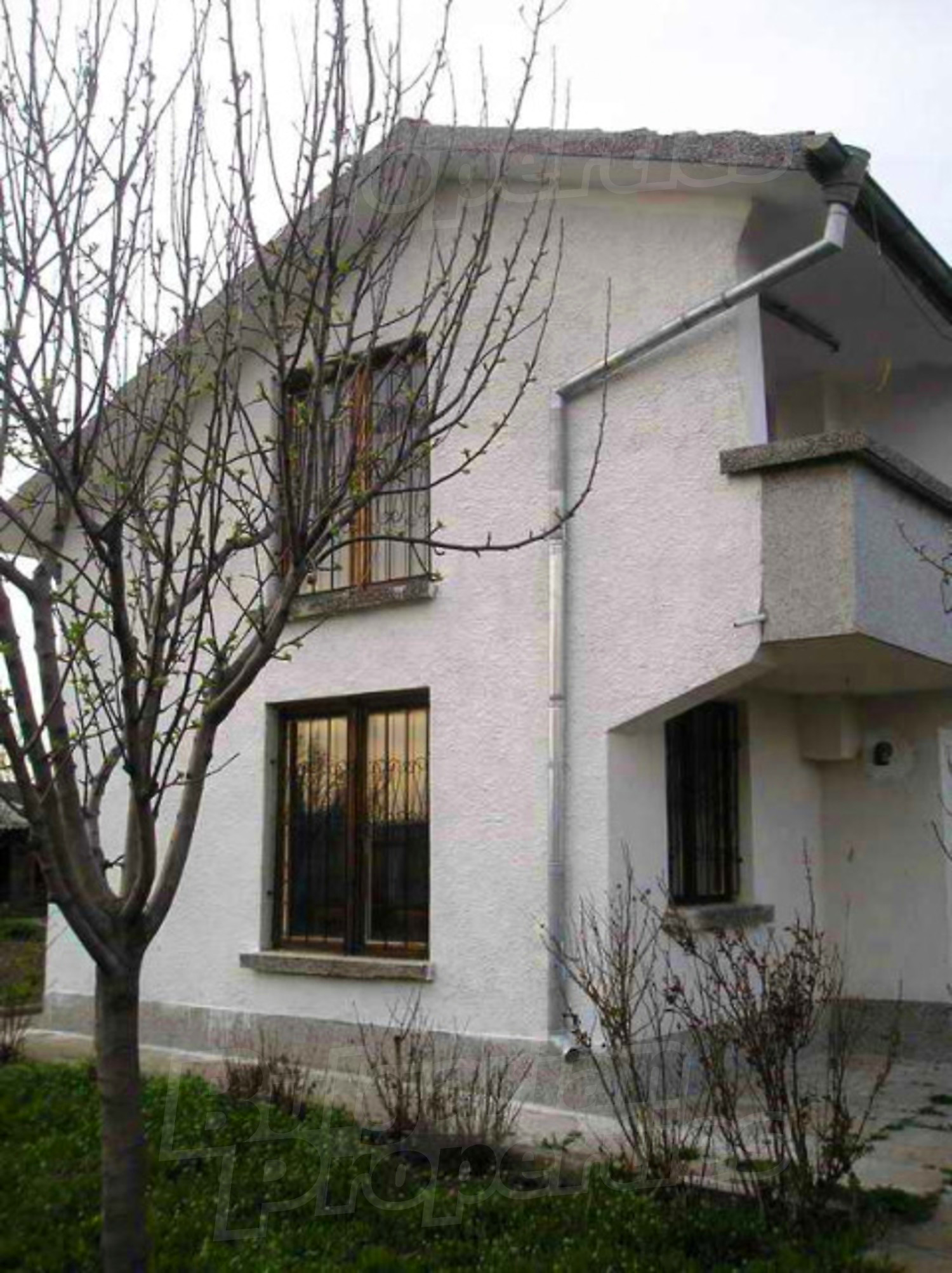 Gallery Picture 27