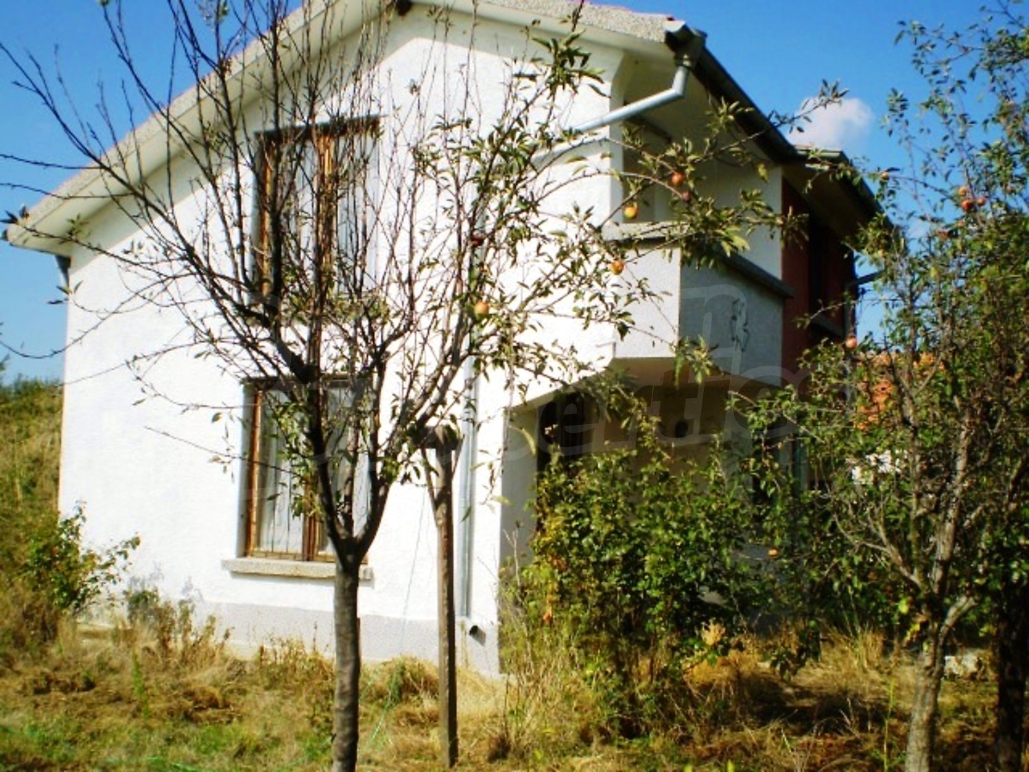 Gallery Picture 29