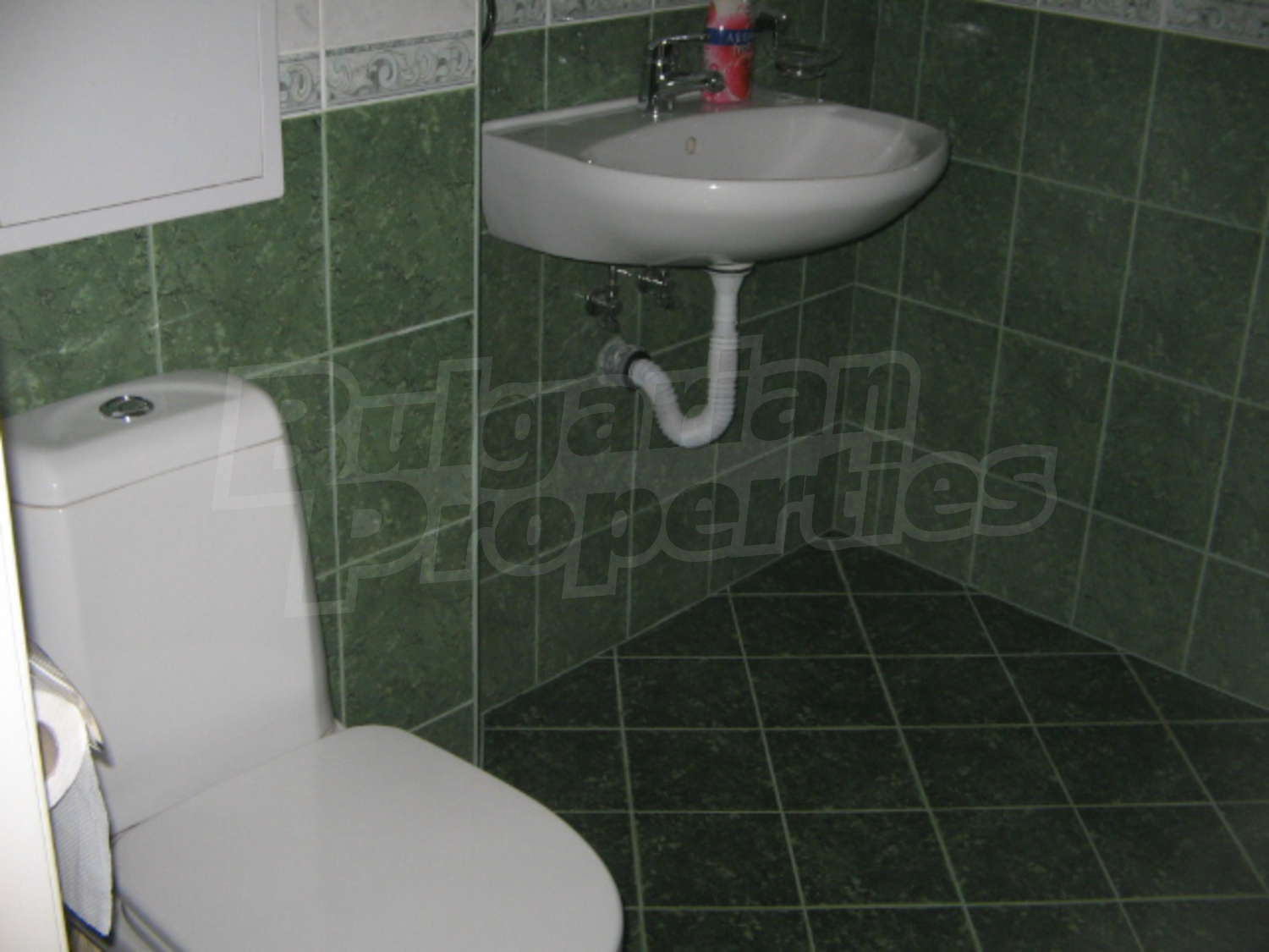 Gallery Picture 16