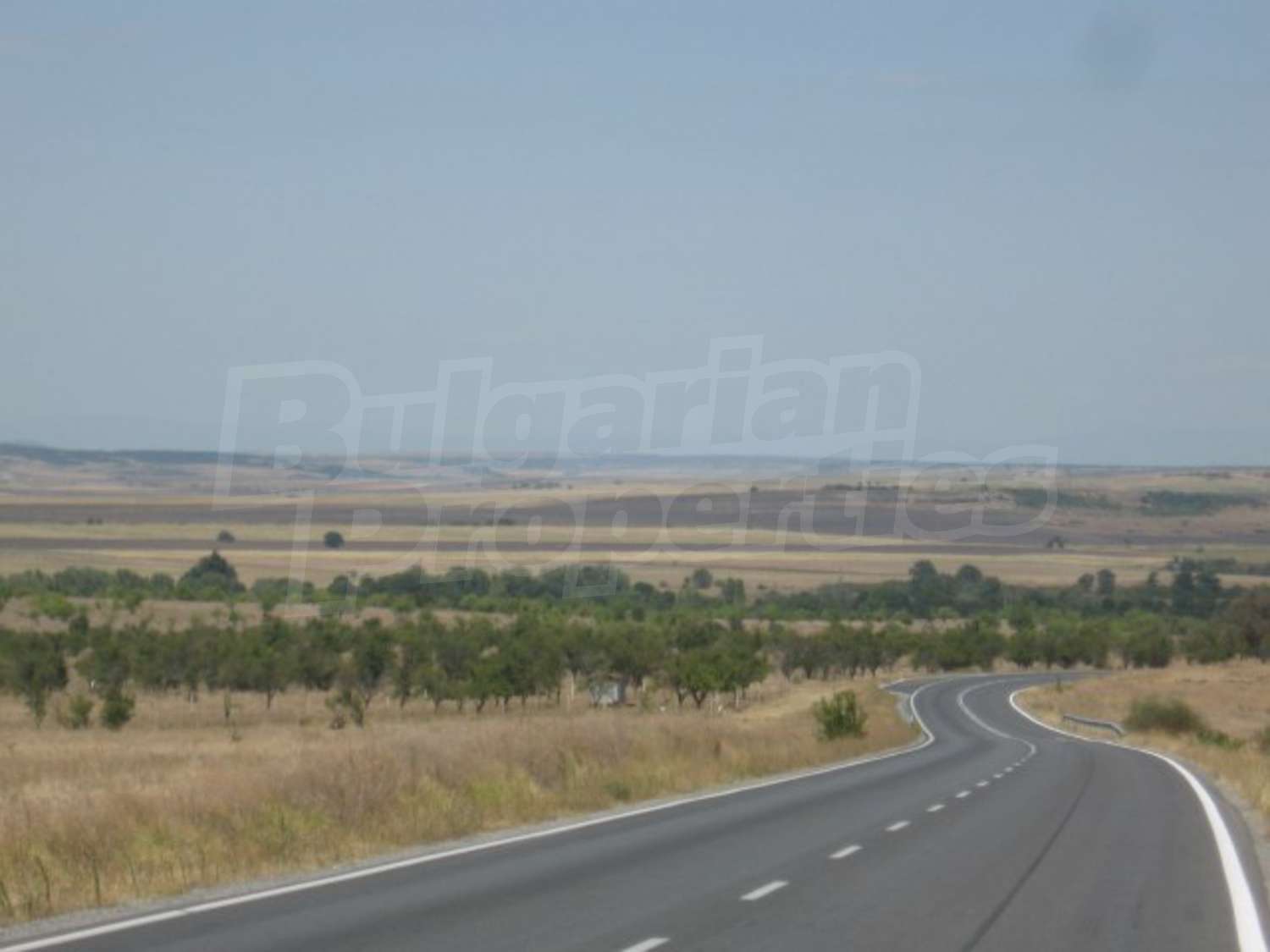 Gallery Picture 7