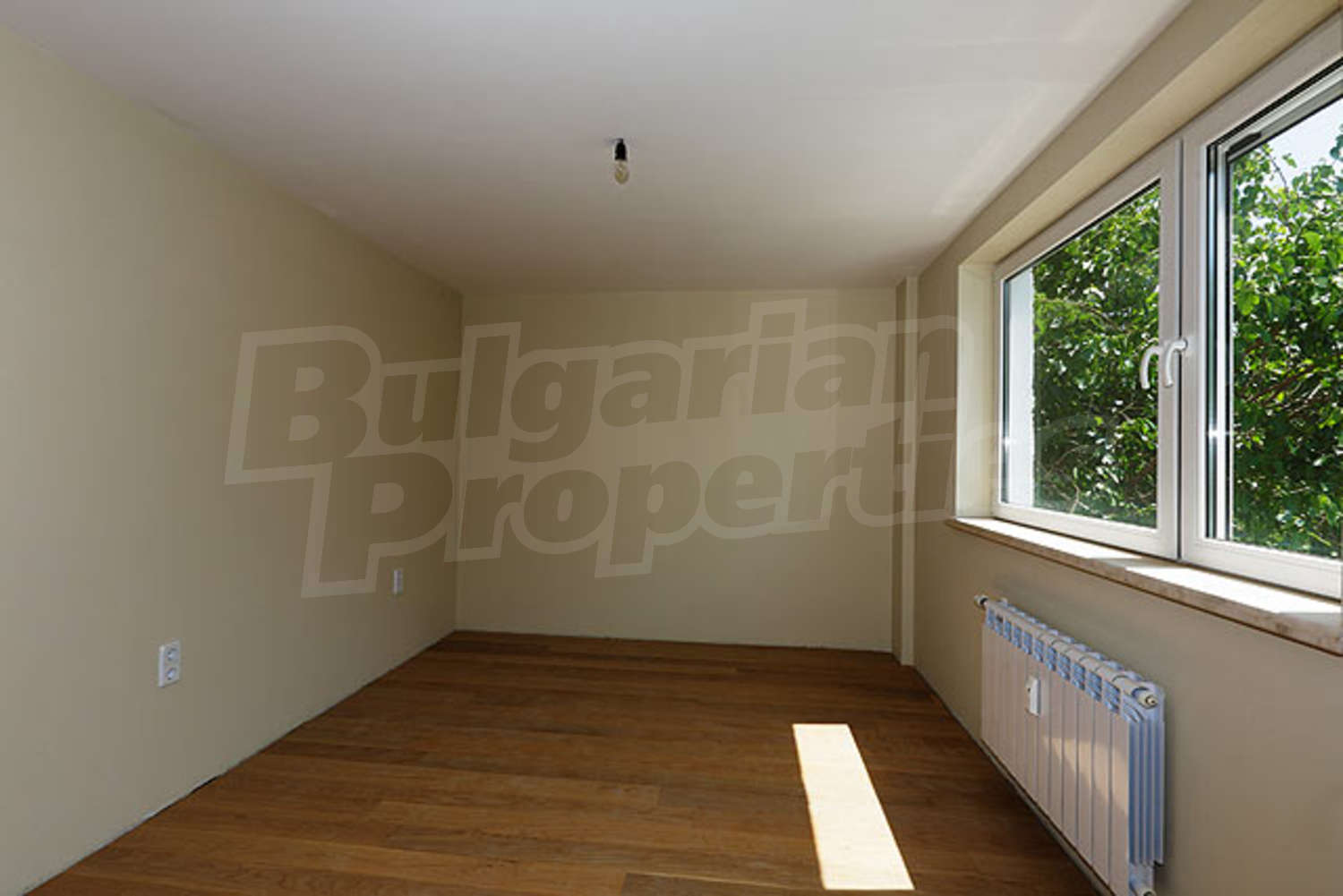 Gallery Picture 9