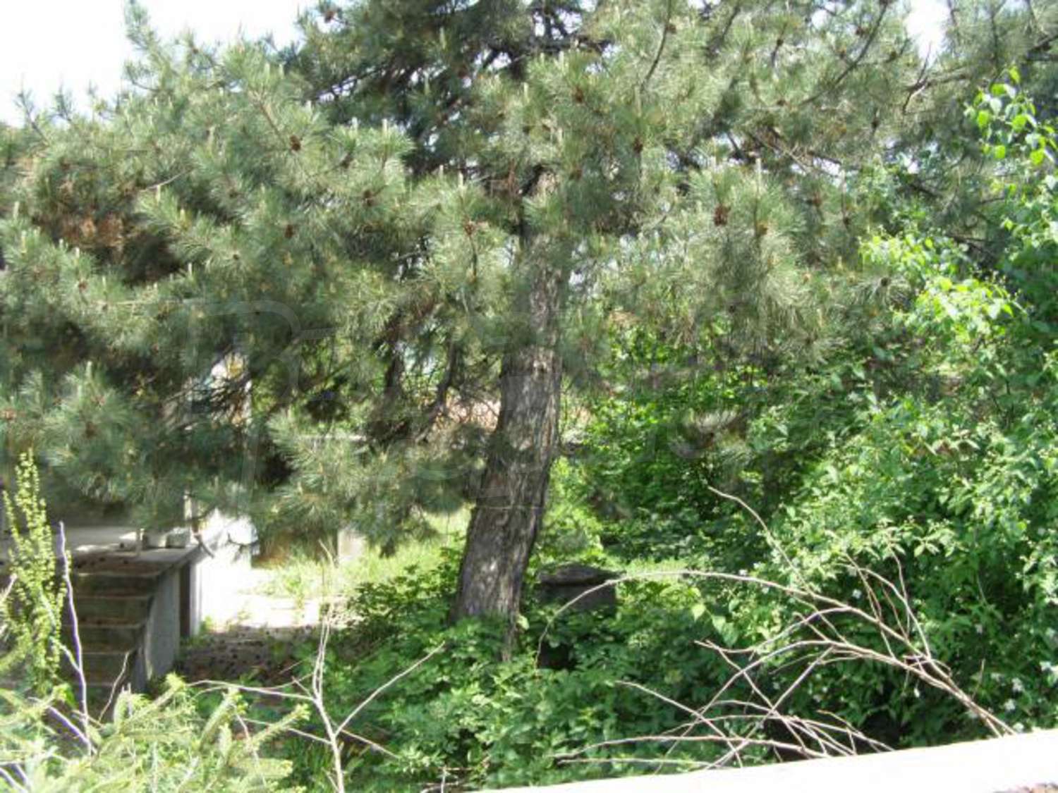 Gallery Picture 12