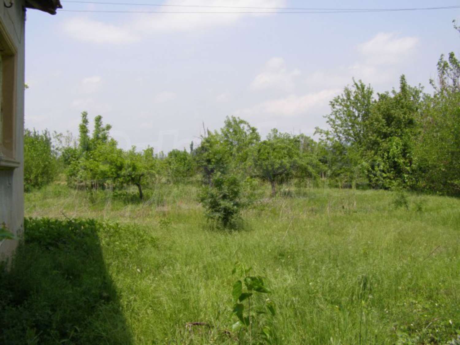 Gallery Picture 15