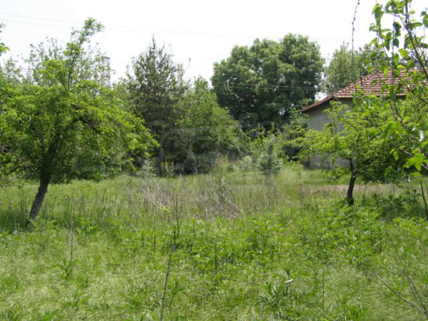 Gallery Picture 23