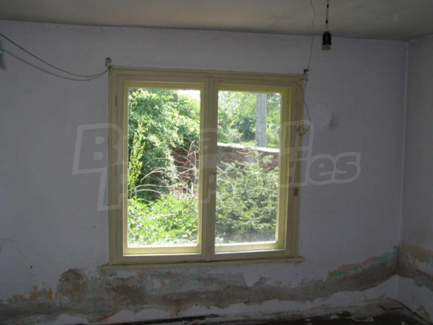 Gallery Picture 9