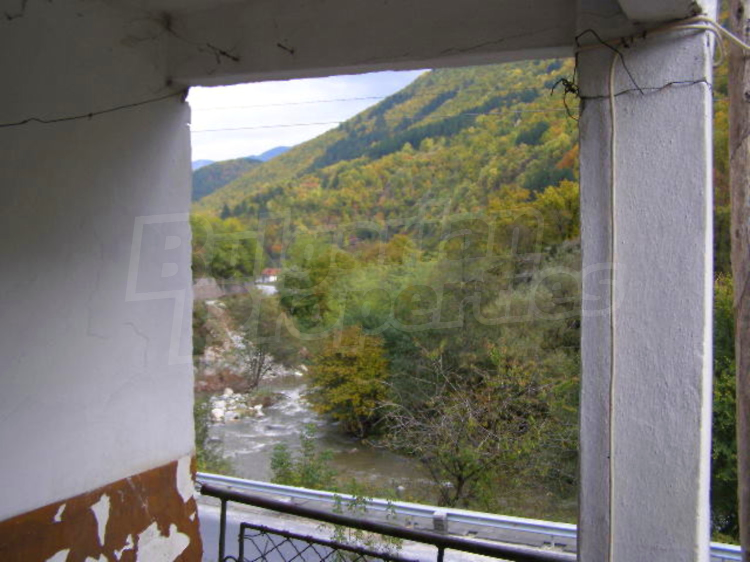 Gallery Picture 10